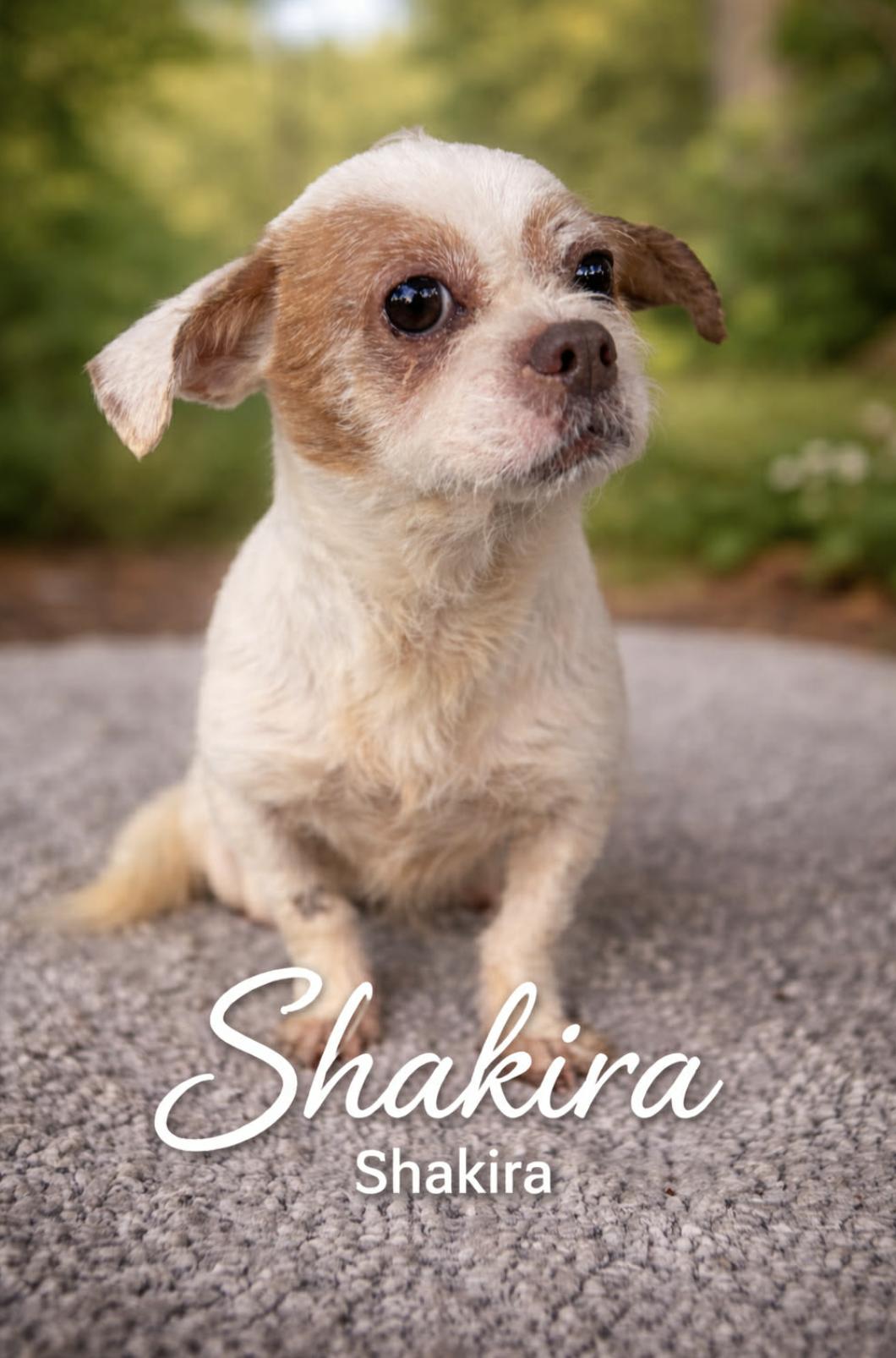 Shakira — thumbnail 2