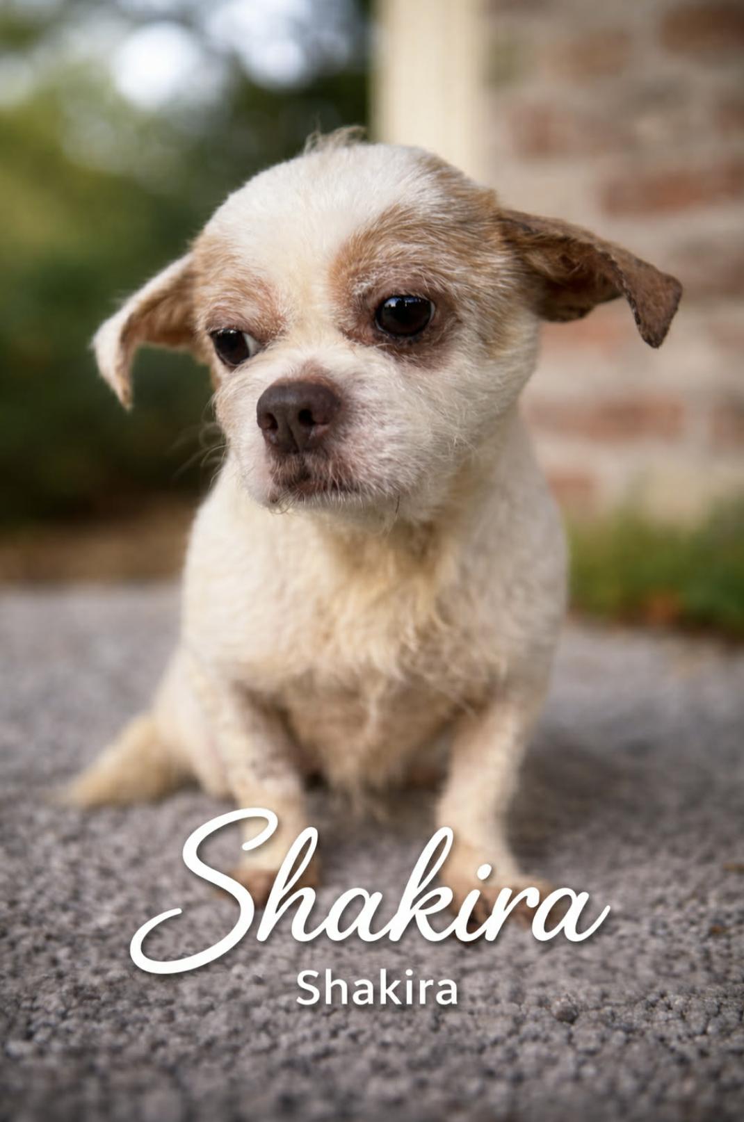 Shakira — thumbnail 5