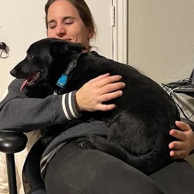 Enlarge Berry - Super sweet and spunky girl, a ADOPTABLE mixed breed in Plano, TX image 4/6