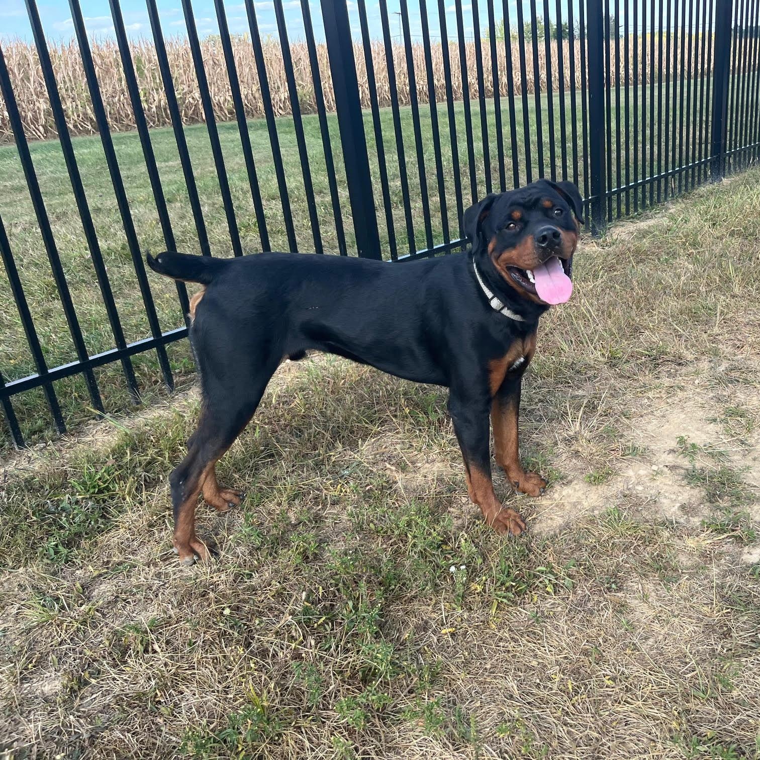 Reggie @ Prison Training Program