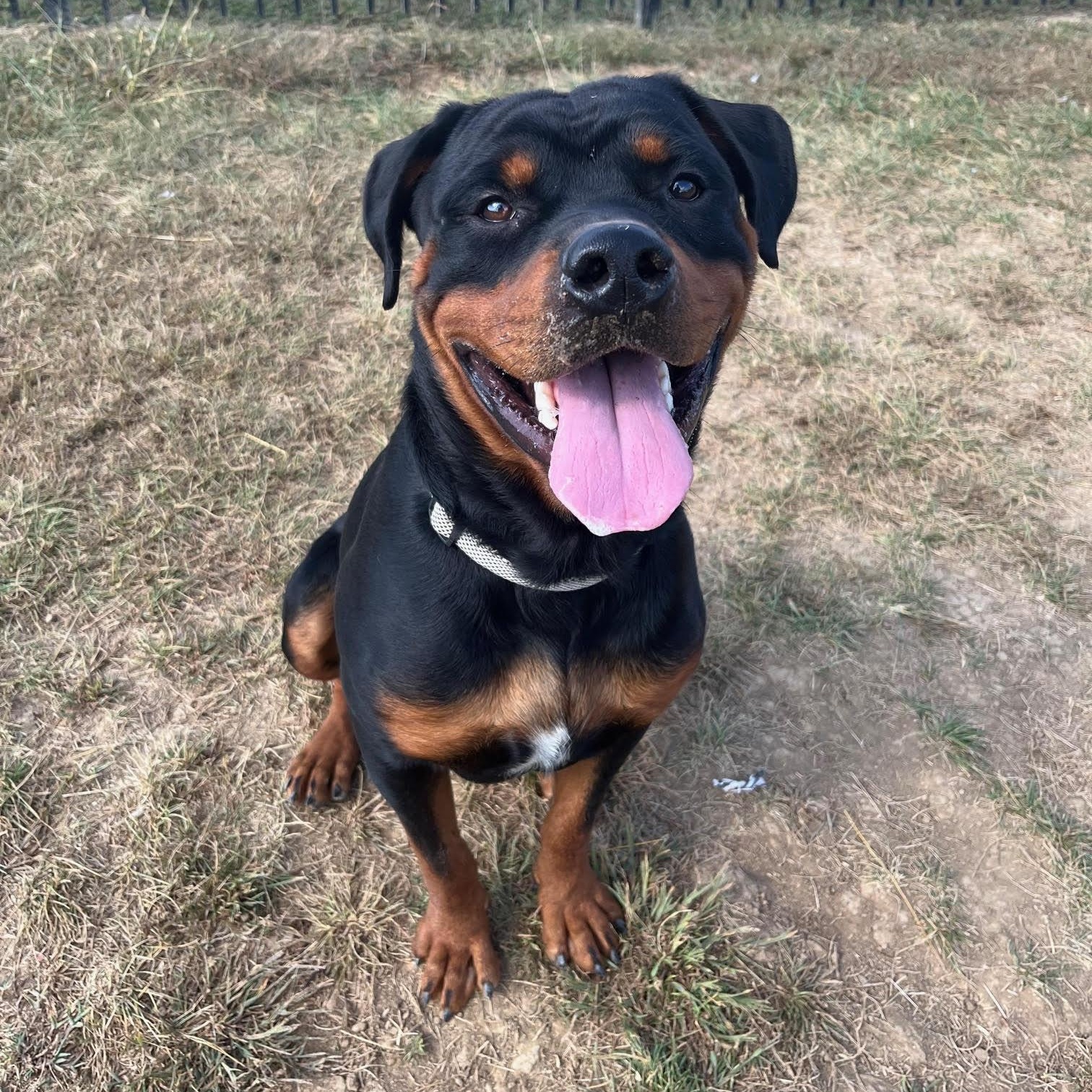 Reggie @ Prison Training Program