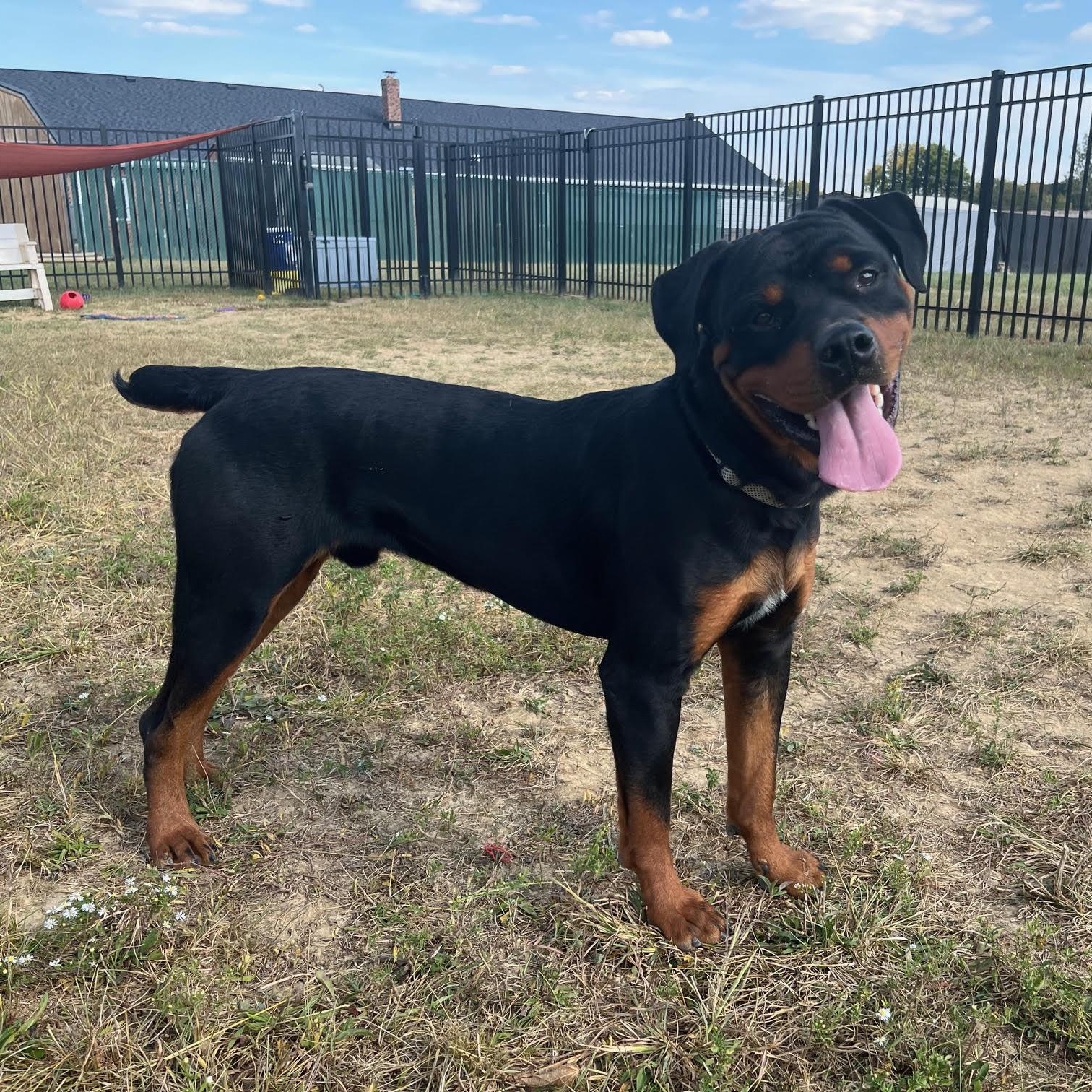 Reggie @ Prison Training Program