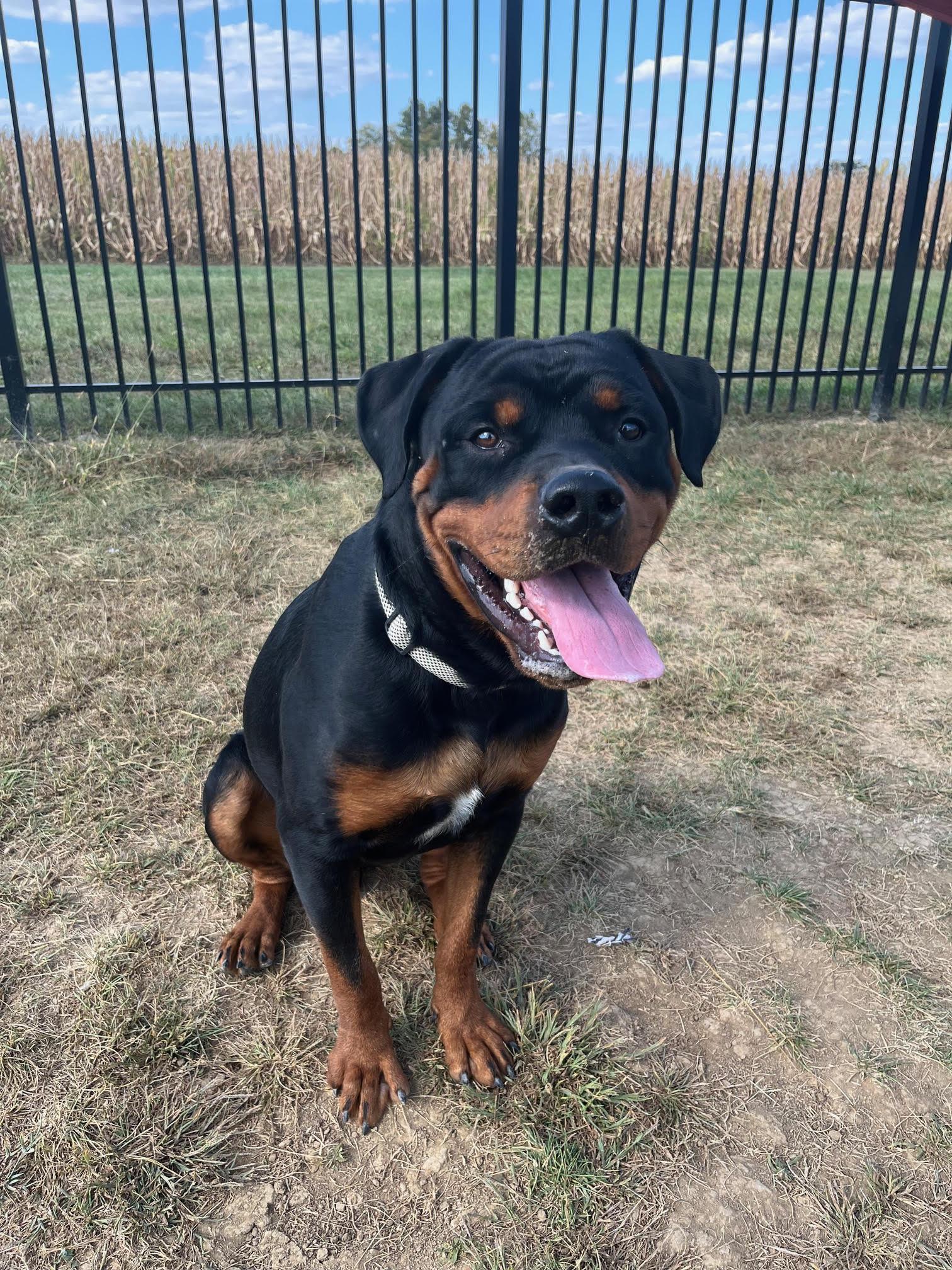 Reggie @ Prison Training Program