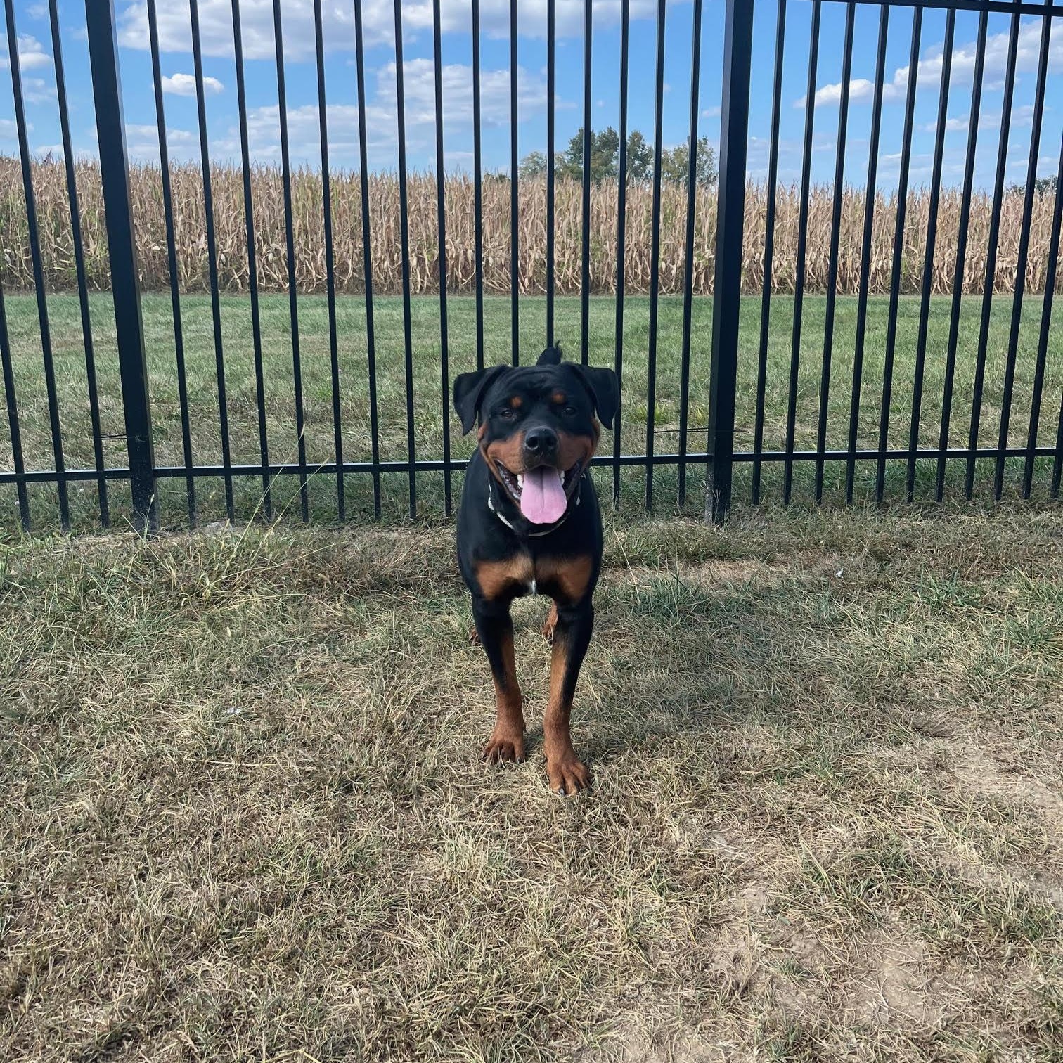 Reggie @ Prison Training Program
