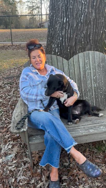 Enlarge Millee, a ADOPTABLE mixed breed in Warwick, RI video 6/6