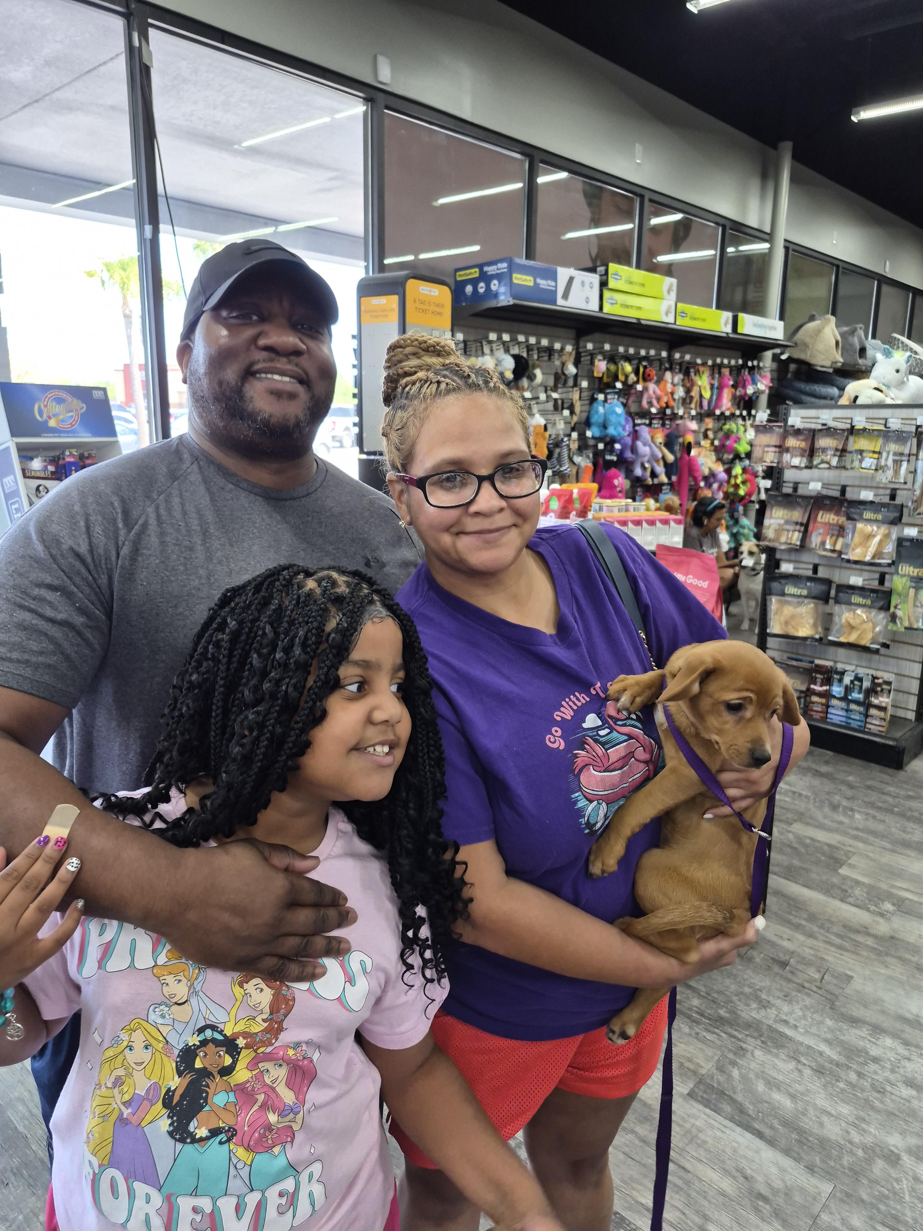 Buttercup, Adopted, Puppy Female Chihuahua & Dachshund.