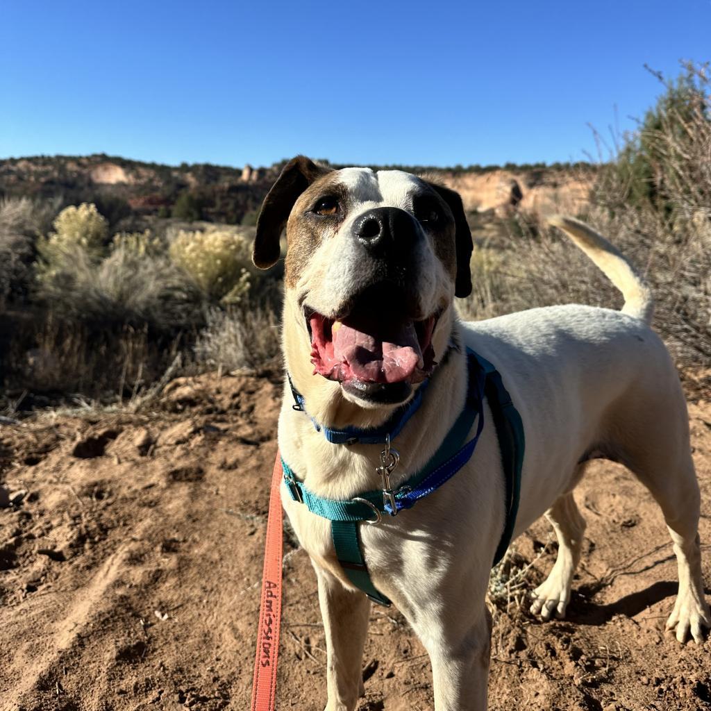 Richard — thumbnail 3