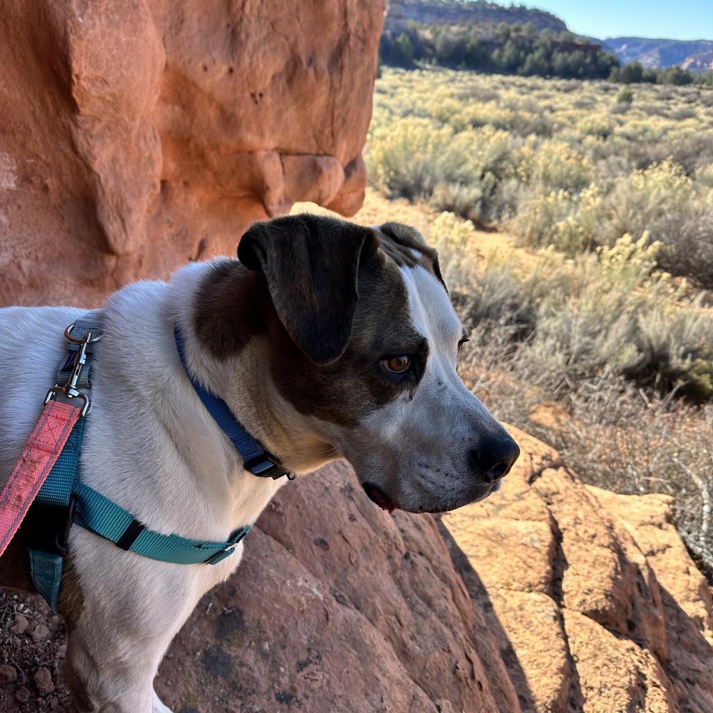 Richard — thumbnail 4