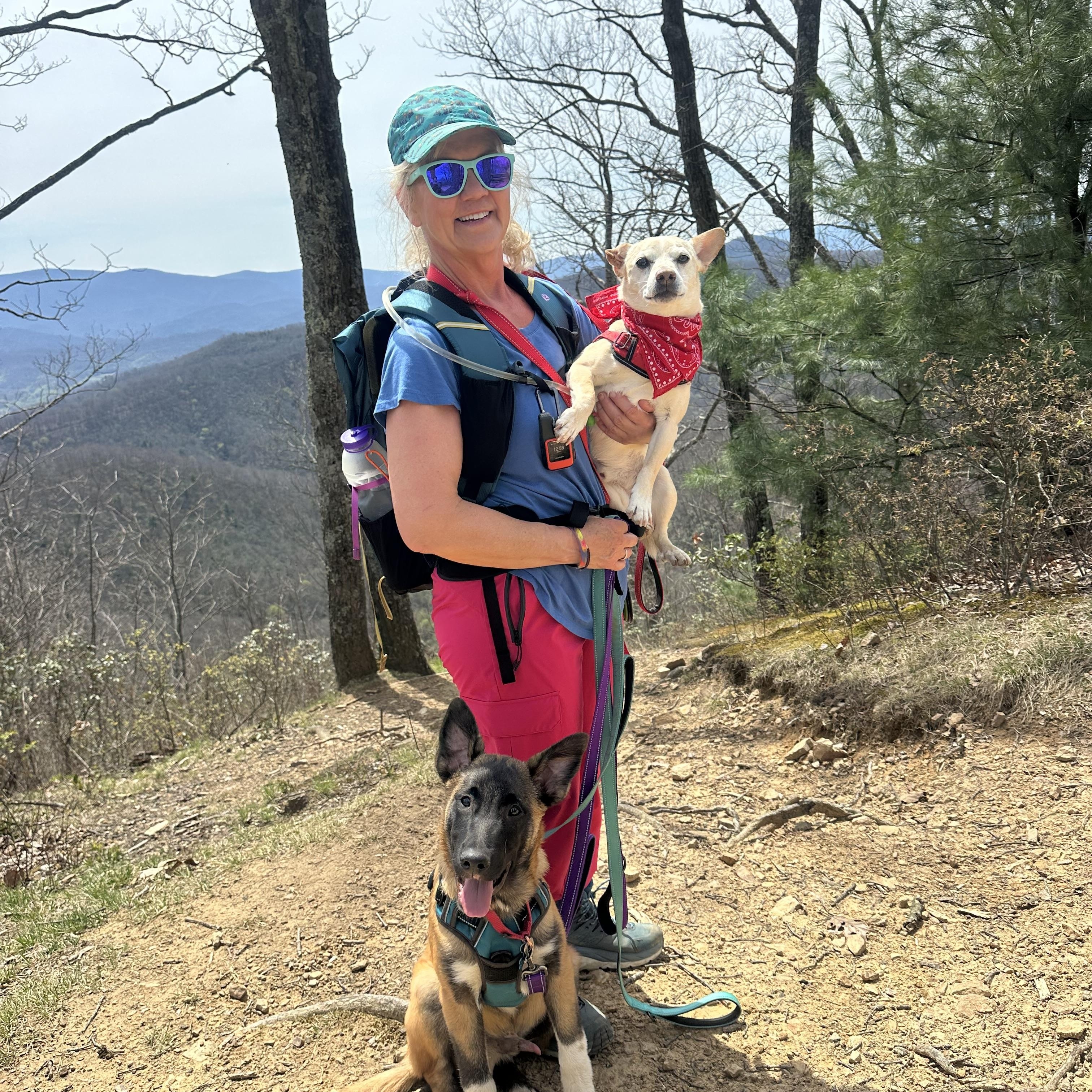 Johnny Cash , a ADOPTABLE mixed breed in Sherman, CT image 4/5