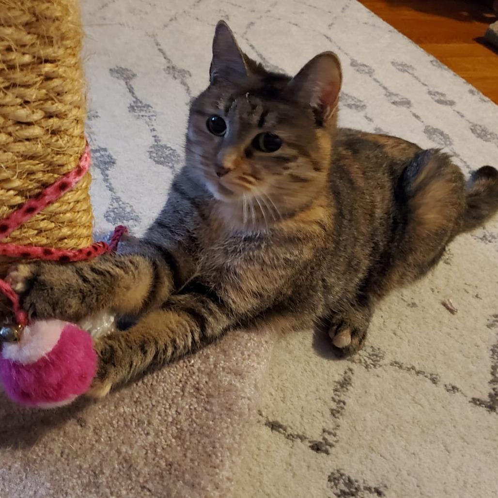 Lily 7 — thumbnail 3