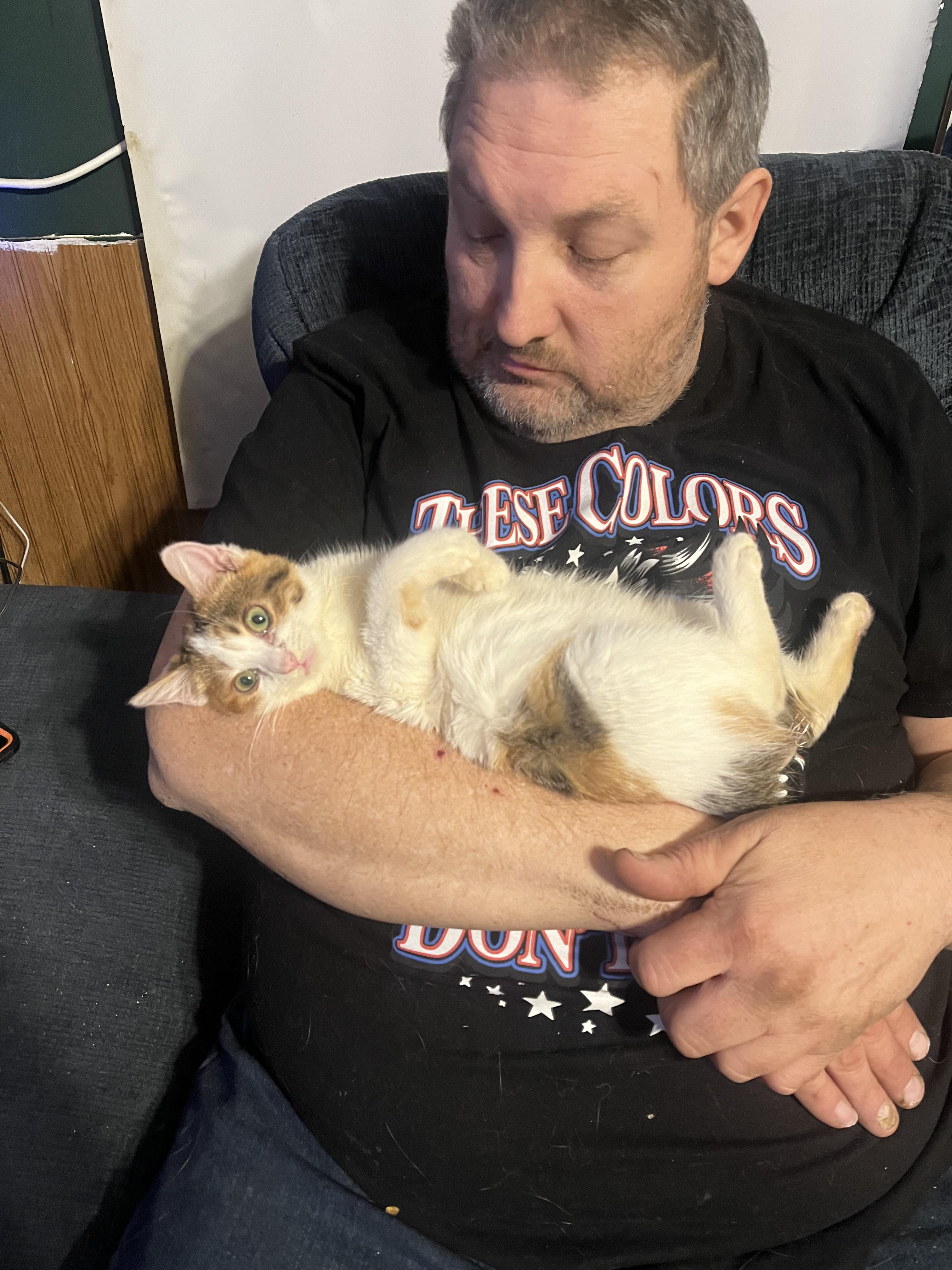 Enlarge Miss Frosty, an adopted mixed breed in Brownsville, PA image 5/5