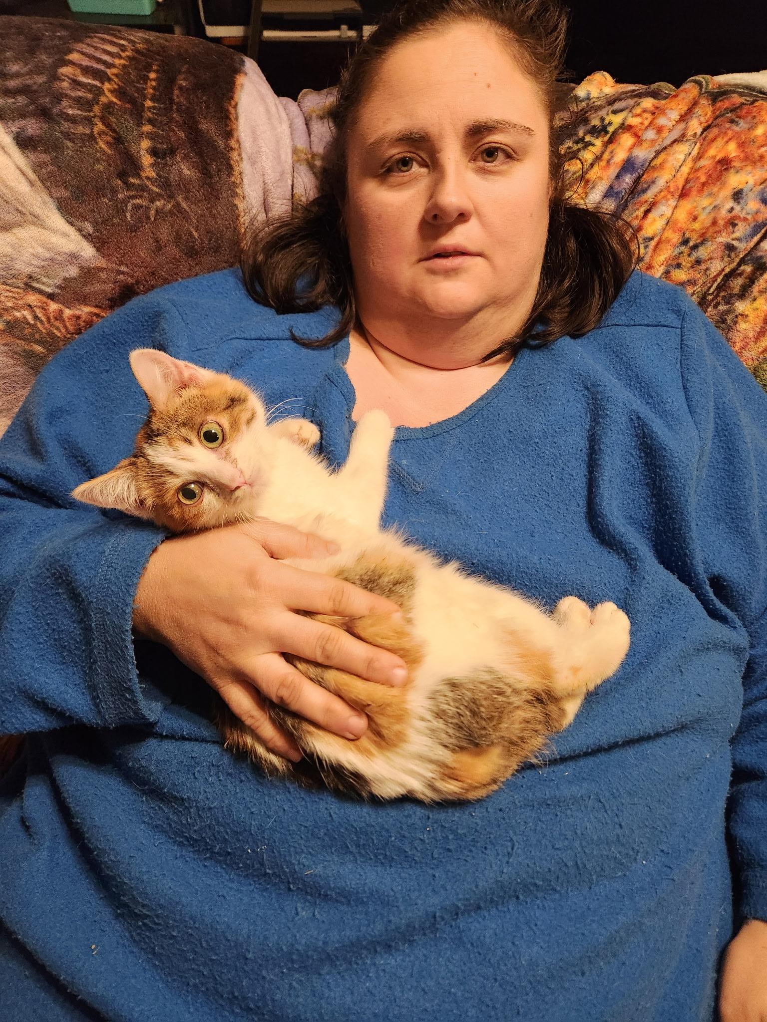 Enlarge Miss Frosty, an adopted mixed breed in Brownsville, PA image 2/5