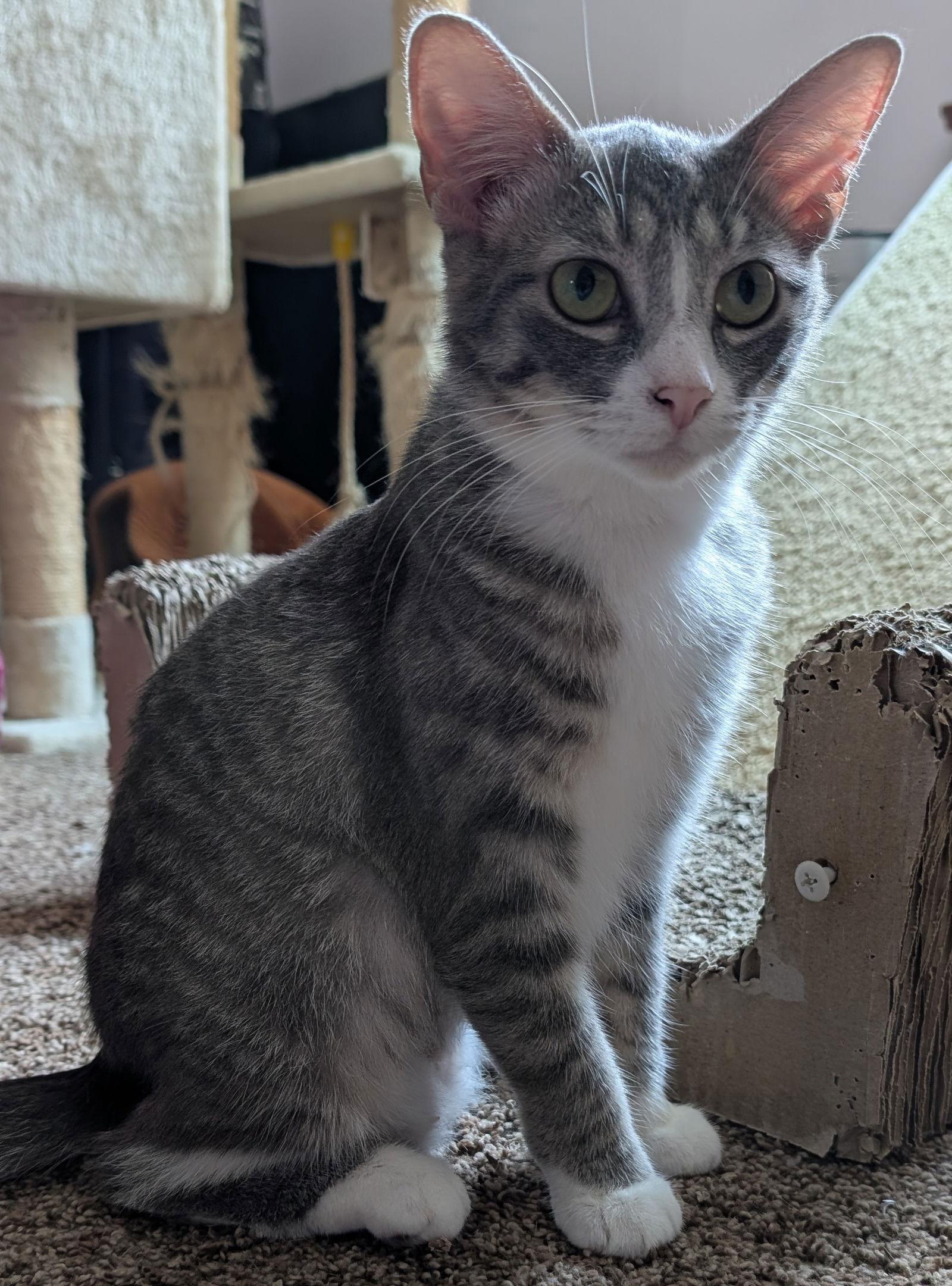 Soup — thumbnail 3