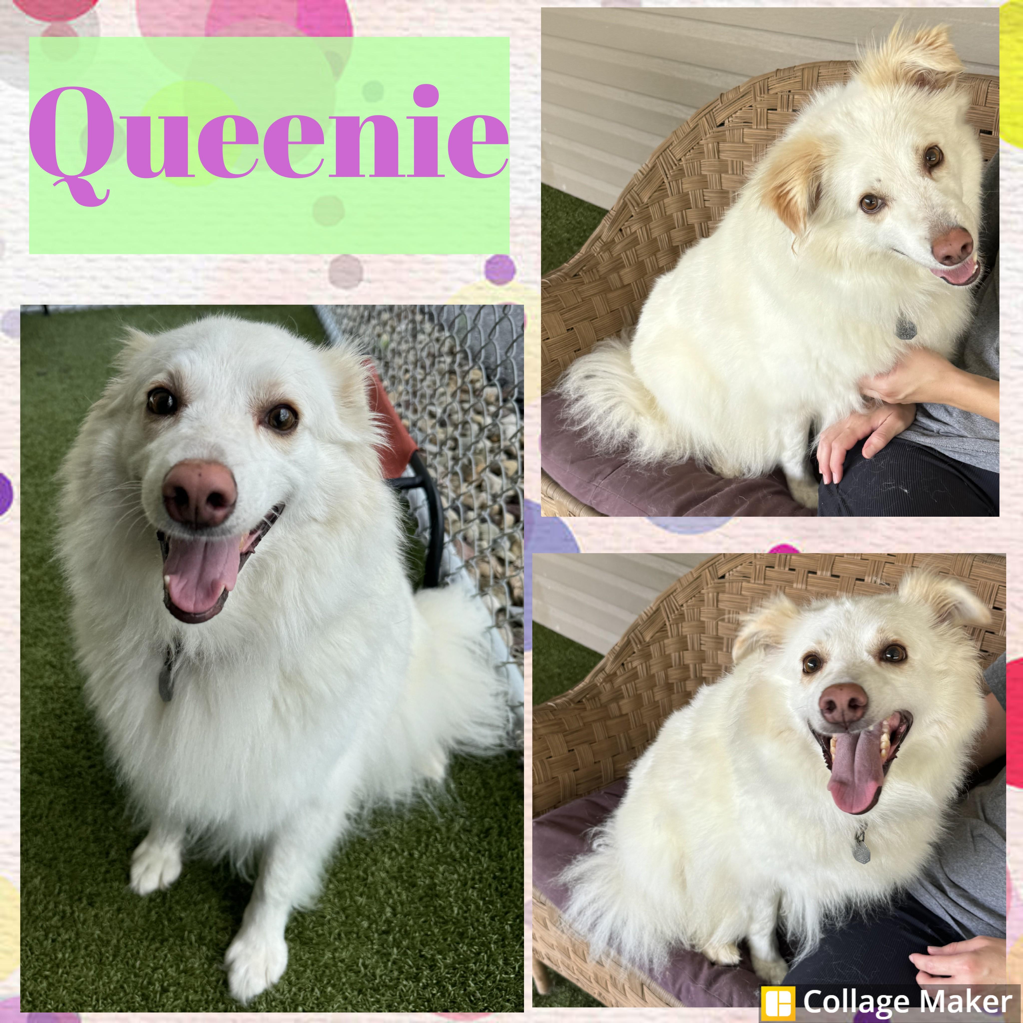 Queenie