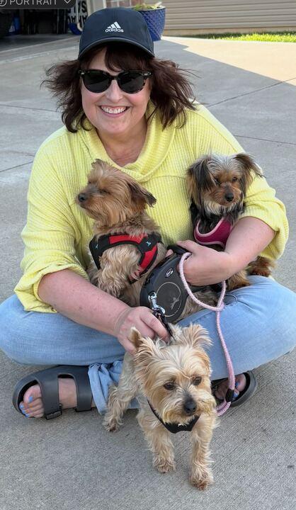 Enlarge Roxy Apr 25, a Adopted Yorkshire Terrier in Pacolet, SC image 2/2