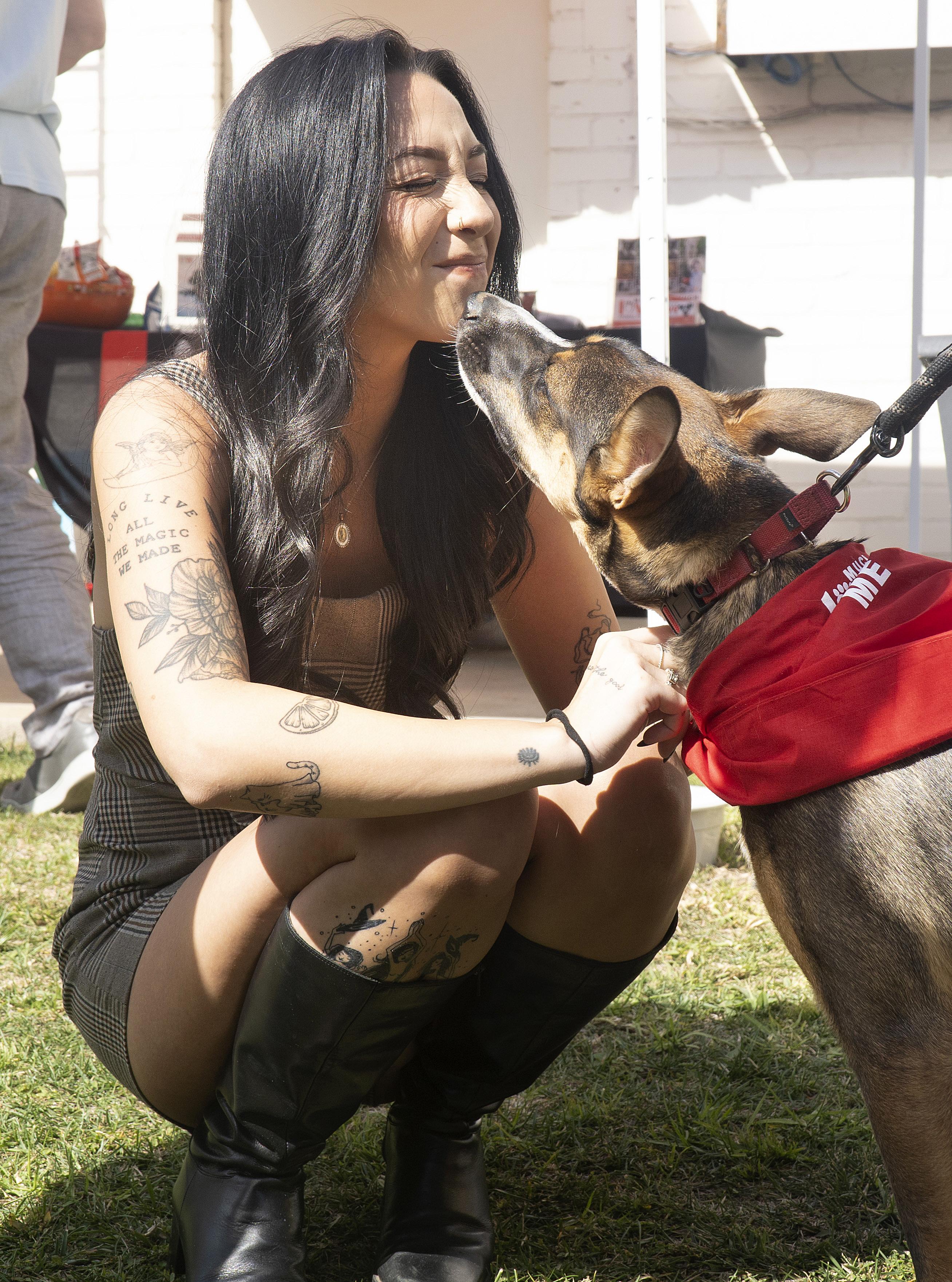 Sunny, a Adoptable mixed breed in Los Angeles, CA image 5/6