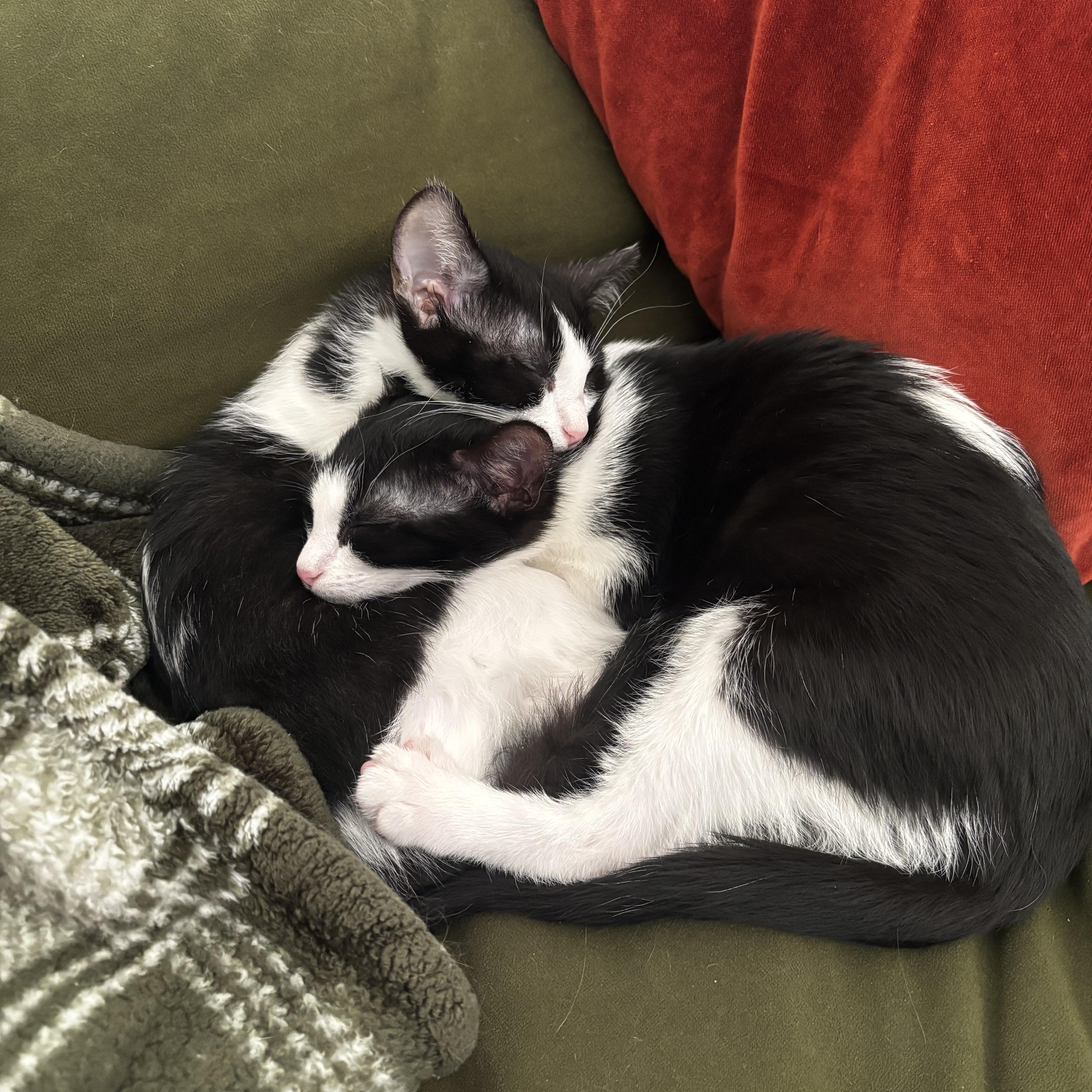 Phillip and Lillian (aka Phil & Lil) photo 2
