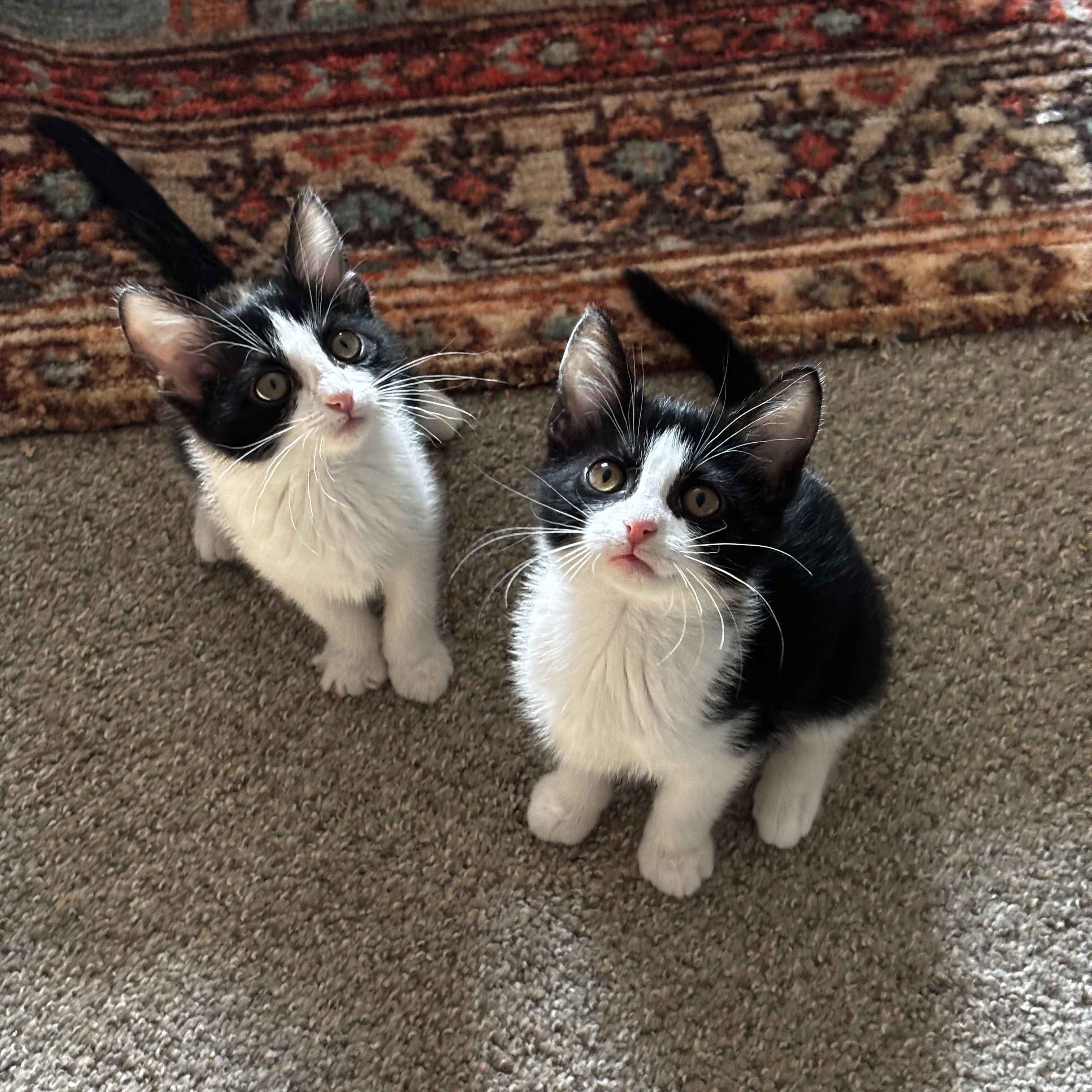 Phillip and Lillian (aka Phil & Lil)