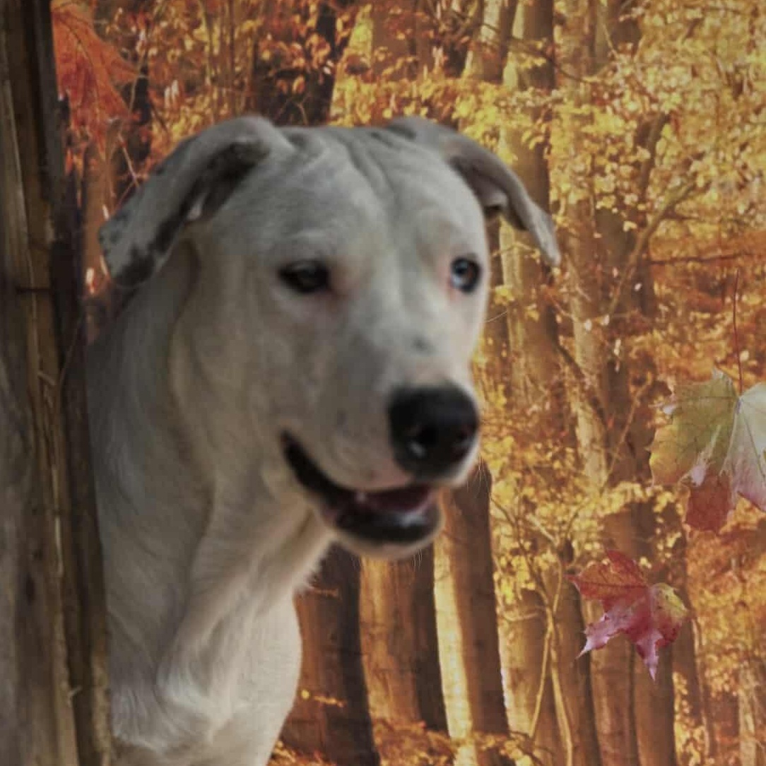 Happy — thumbnail 5