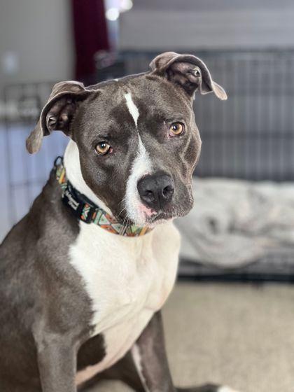 Hays(in foster) — thumbnail 2