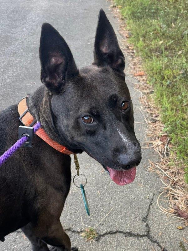Astra (ID 48160/2880)