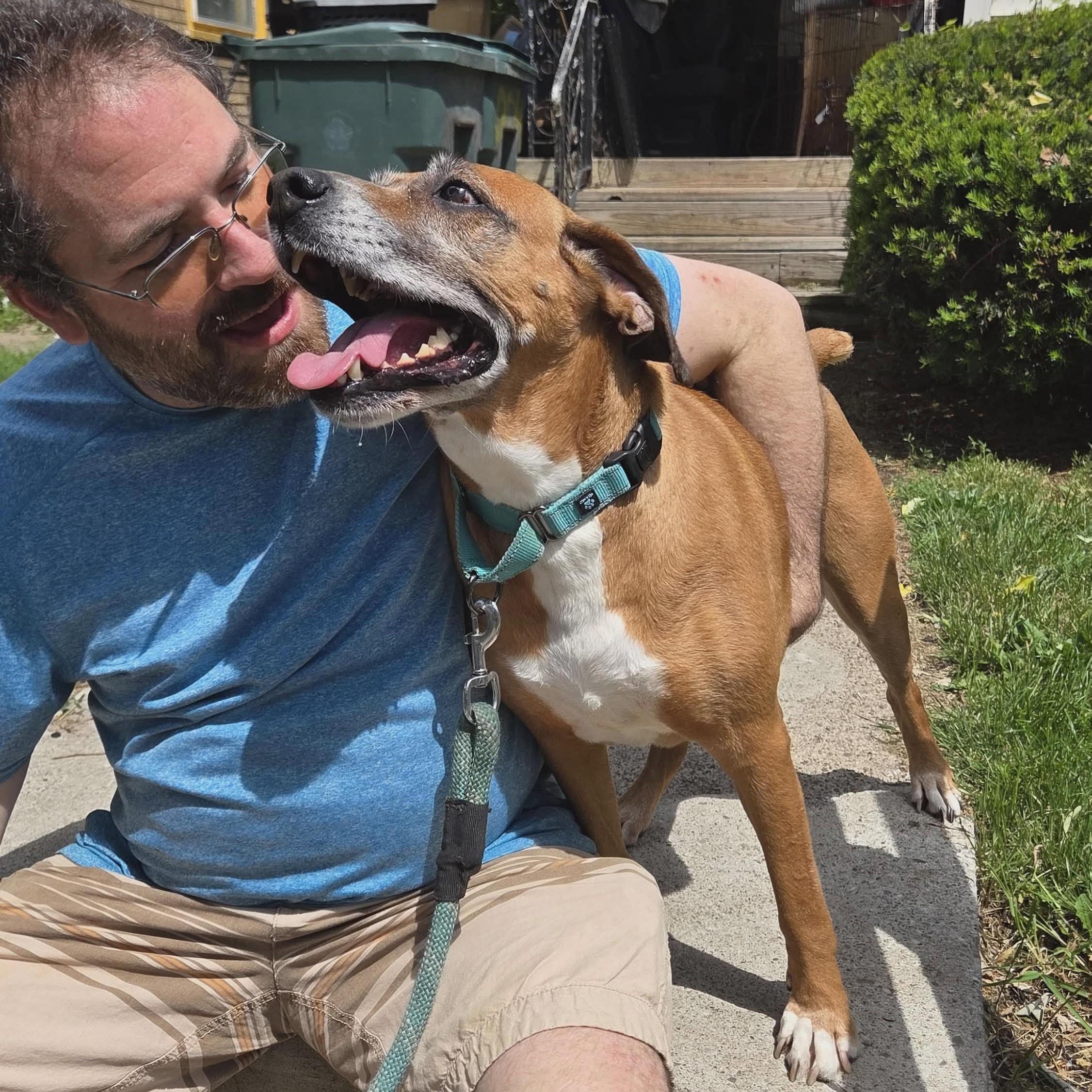 Enlarge Sammy: Adopt or Forever Foster, a Adoptable mixed breed in Rochester, NY image 5/6