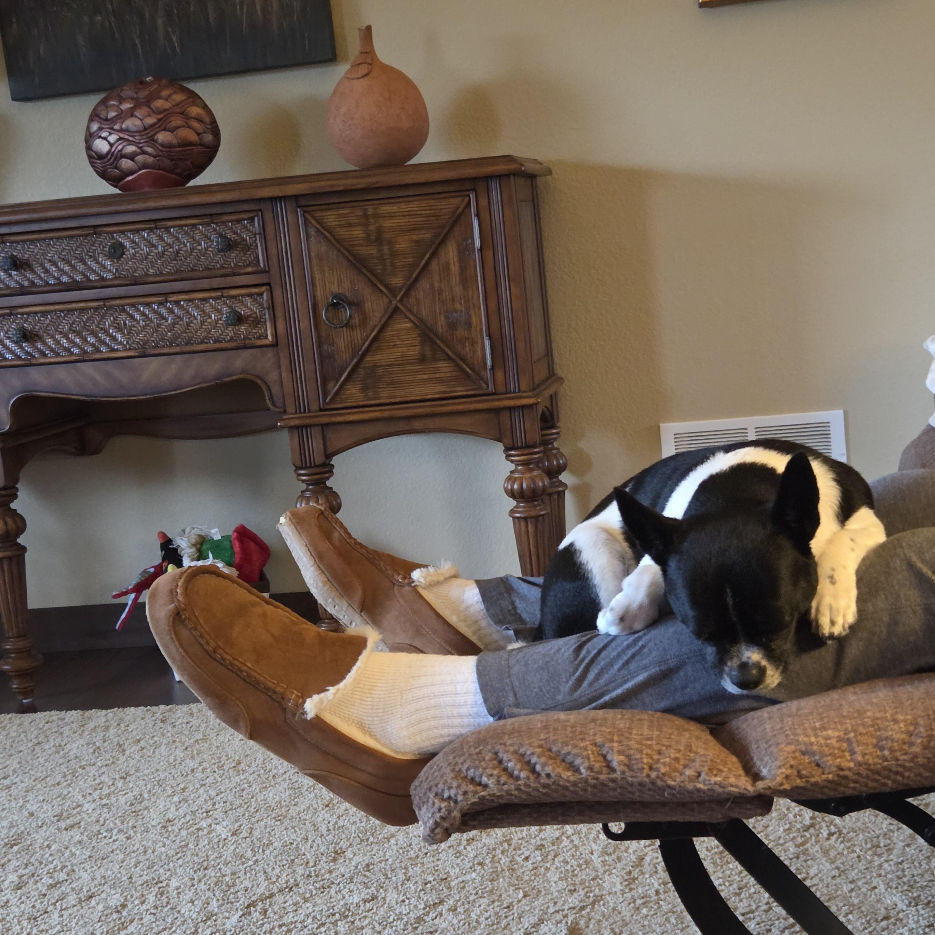 Enlarge Bubba-Courtesy Listing, a Adoptable mixed breed in Decorah, IA image 6/6