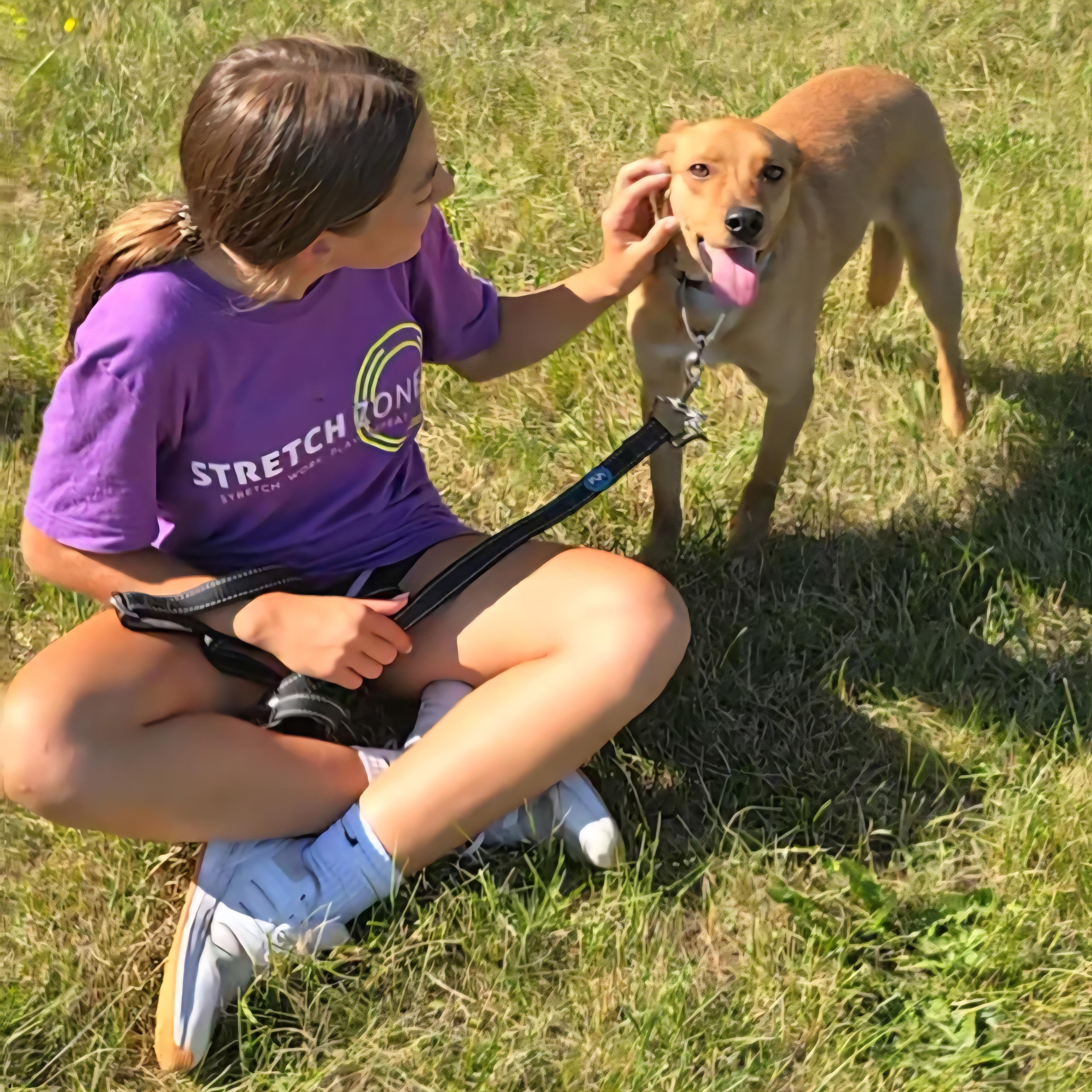 Selena, a Adoptable mixed breed in LaGrange, IN image 5/6