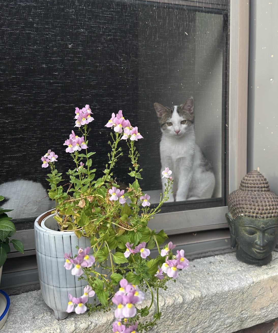 Dexter - In the New England Area with brother Dean