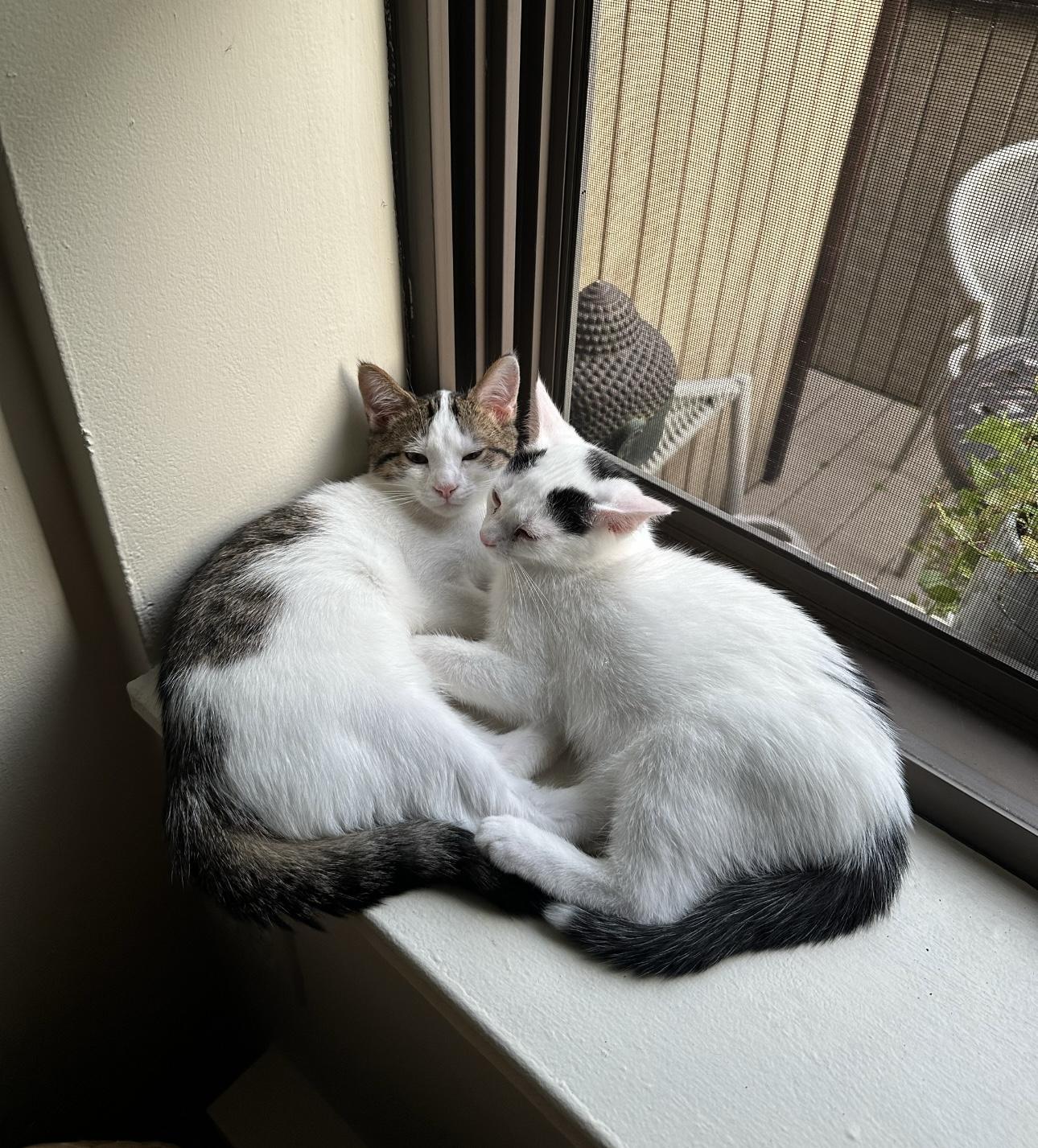 Dexter - In the New England Area with brother Dean