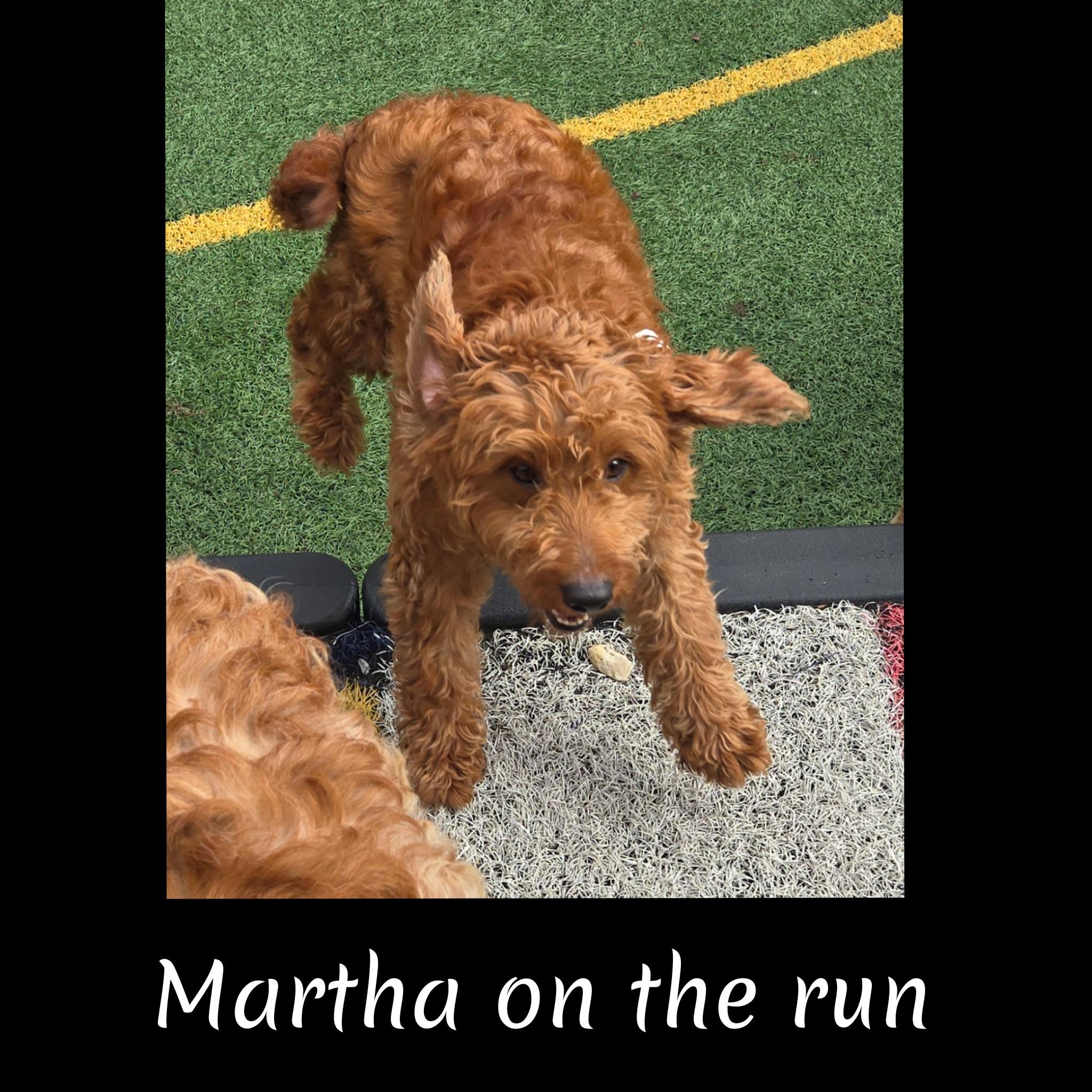 Martha