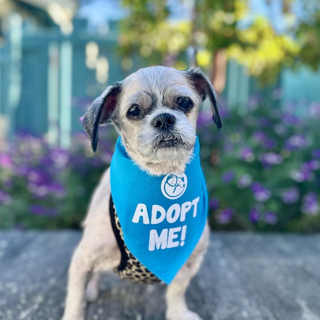 Spork — thumbnail 2