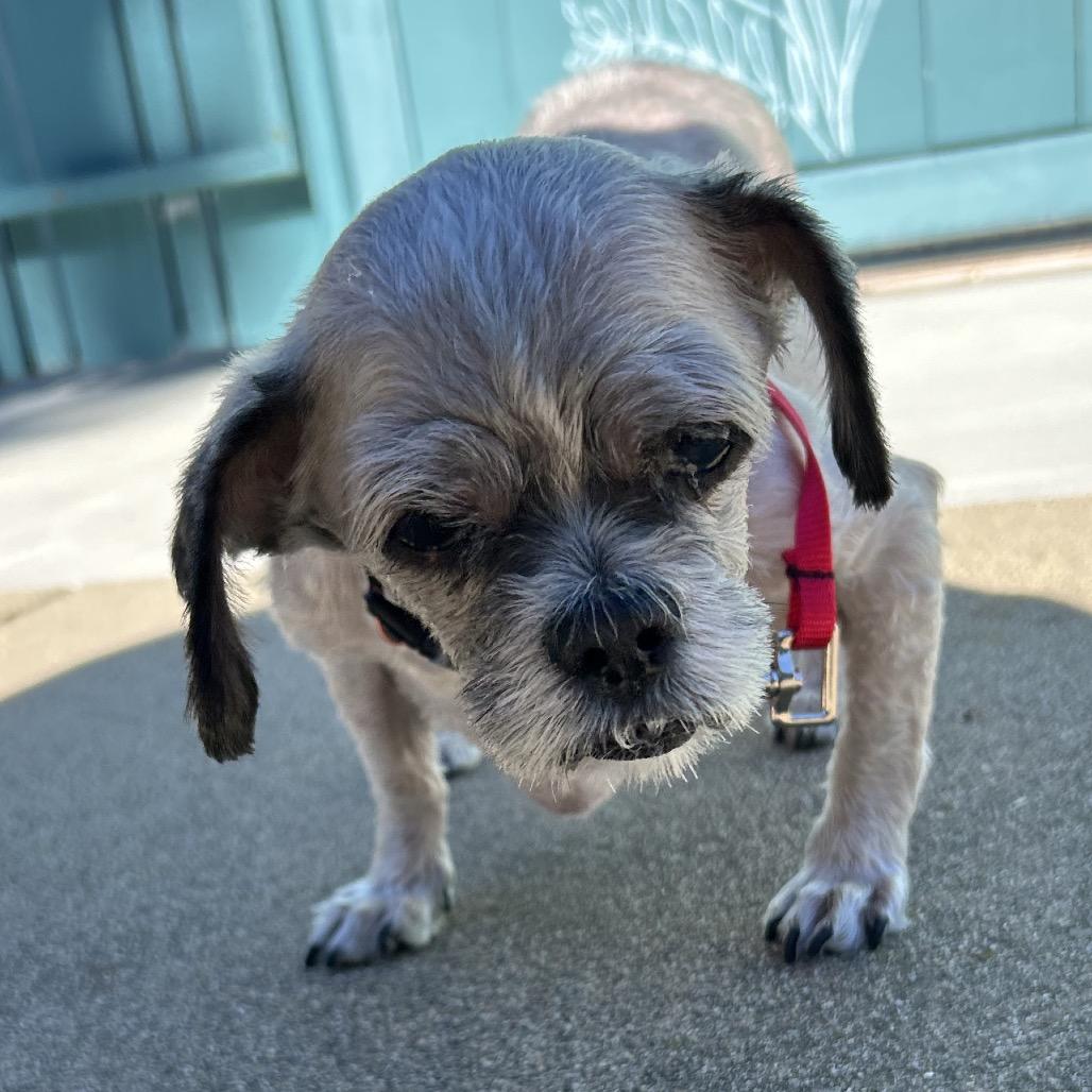 Spork — thumbnail 3