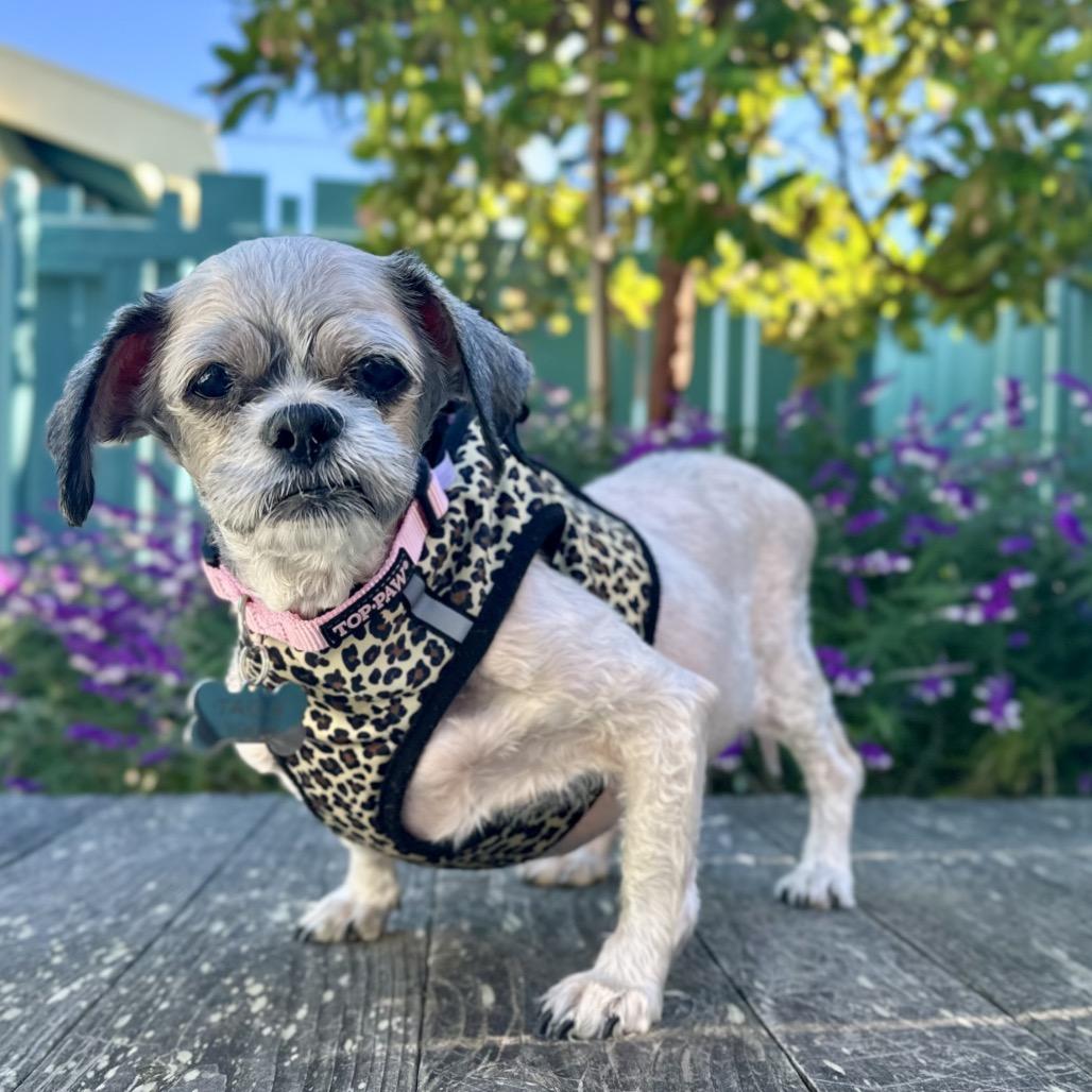 Spork — thumbnail 4