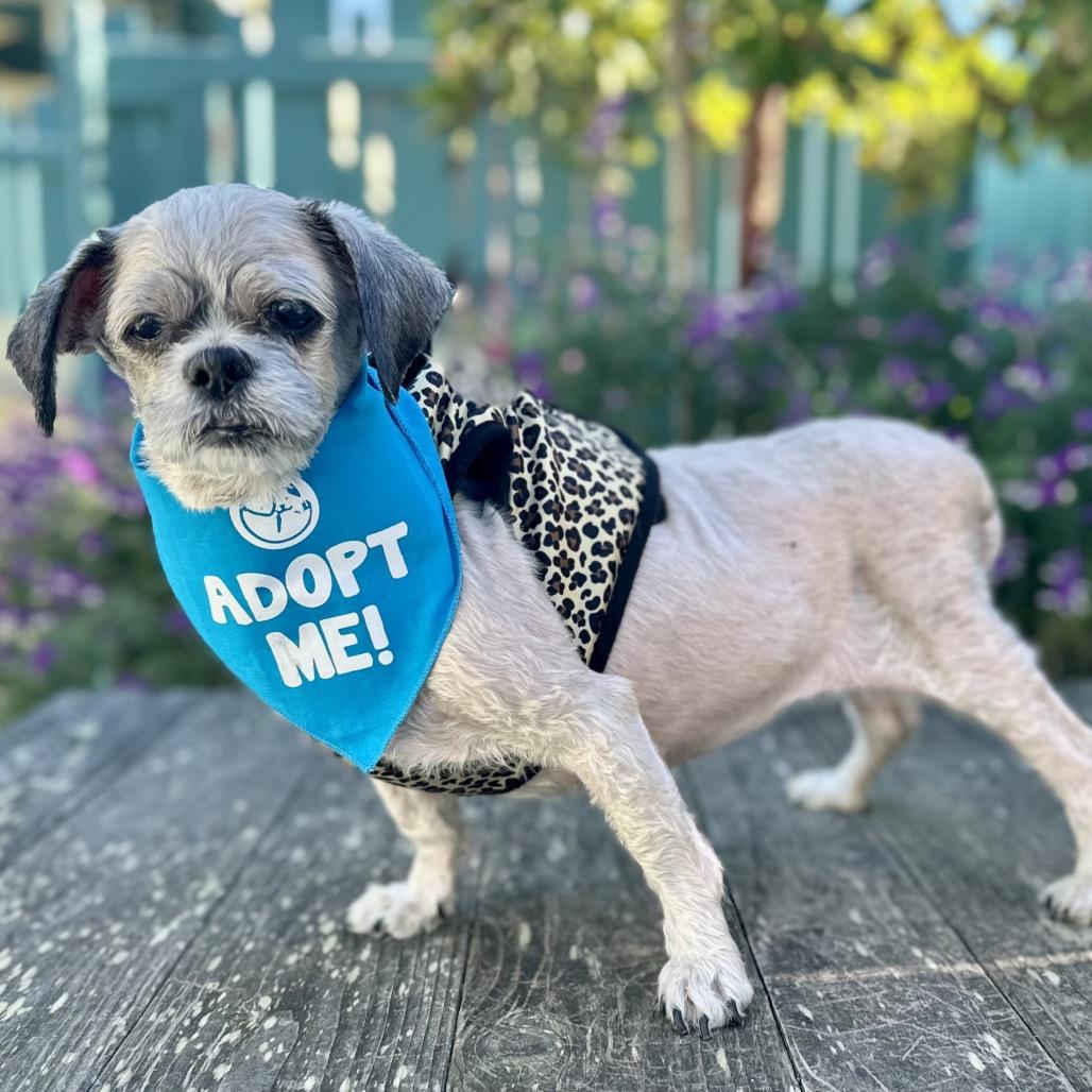 Spork — thumbnail 5