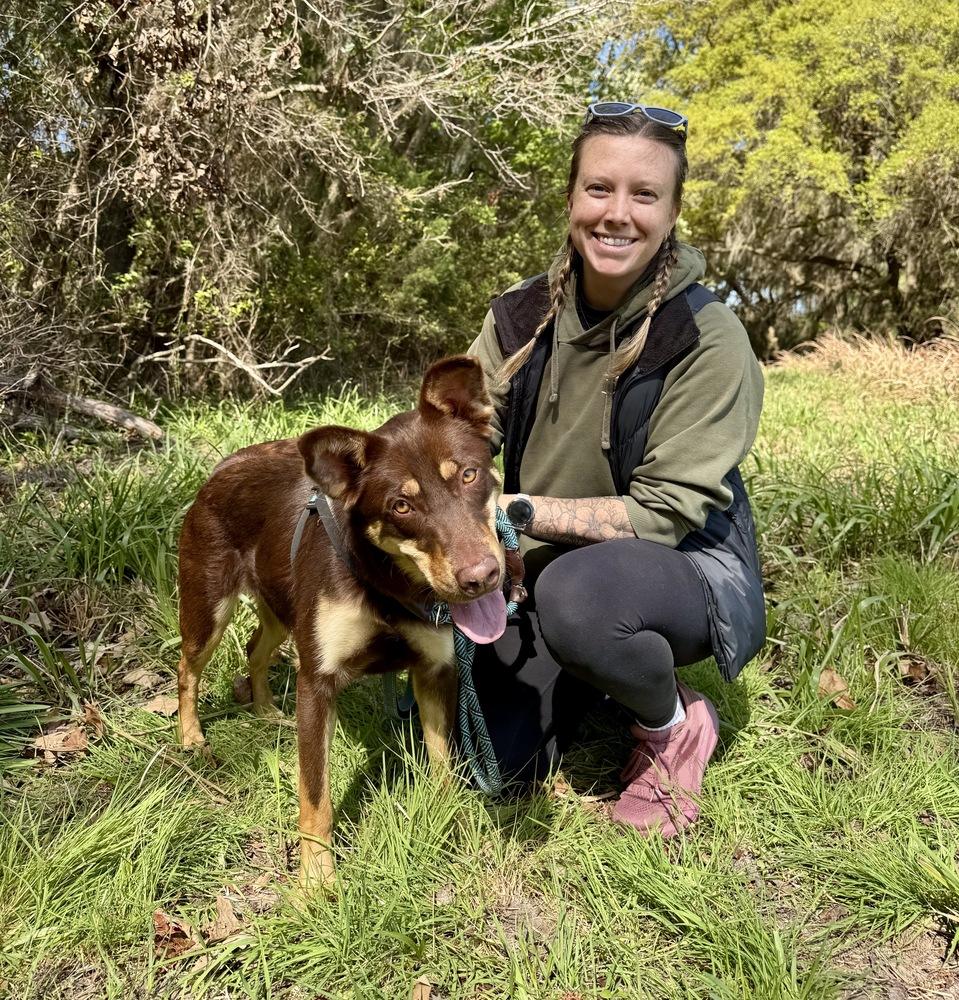 Enlarge Skye, a Adoptable mixed breed in Greenlawn, NY image 3/6