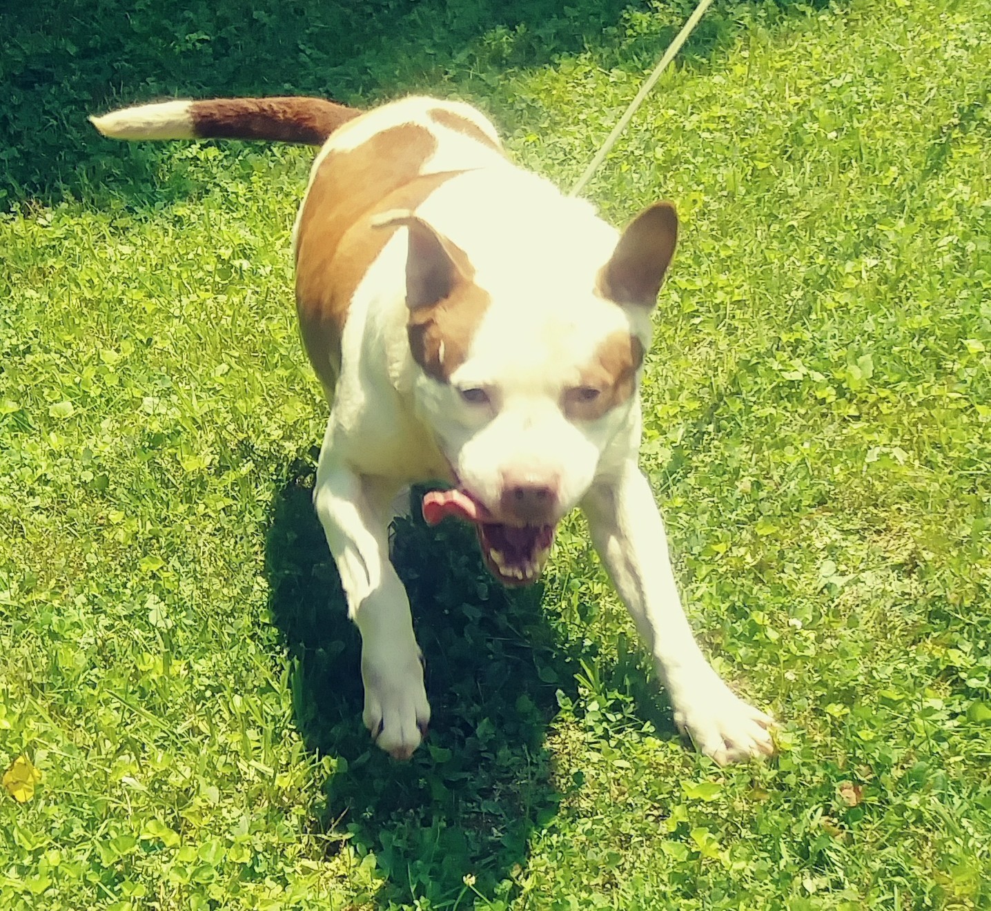 Riley photo 2