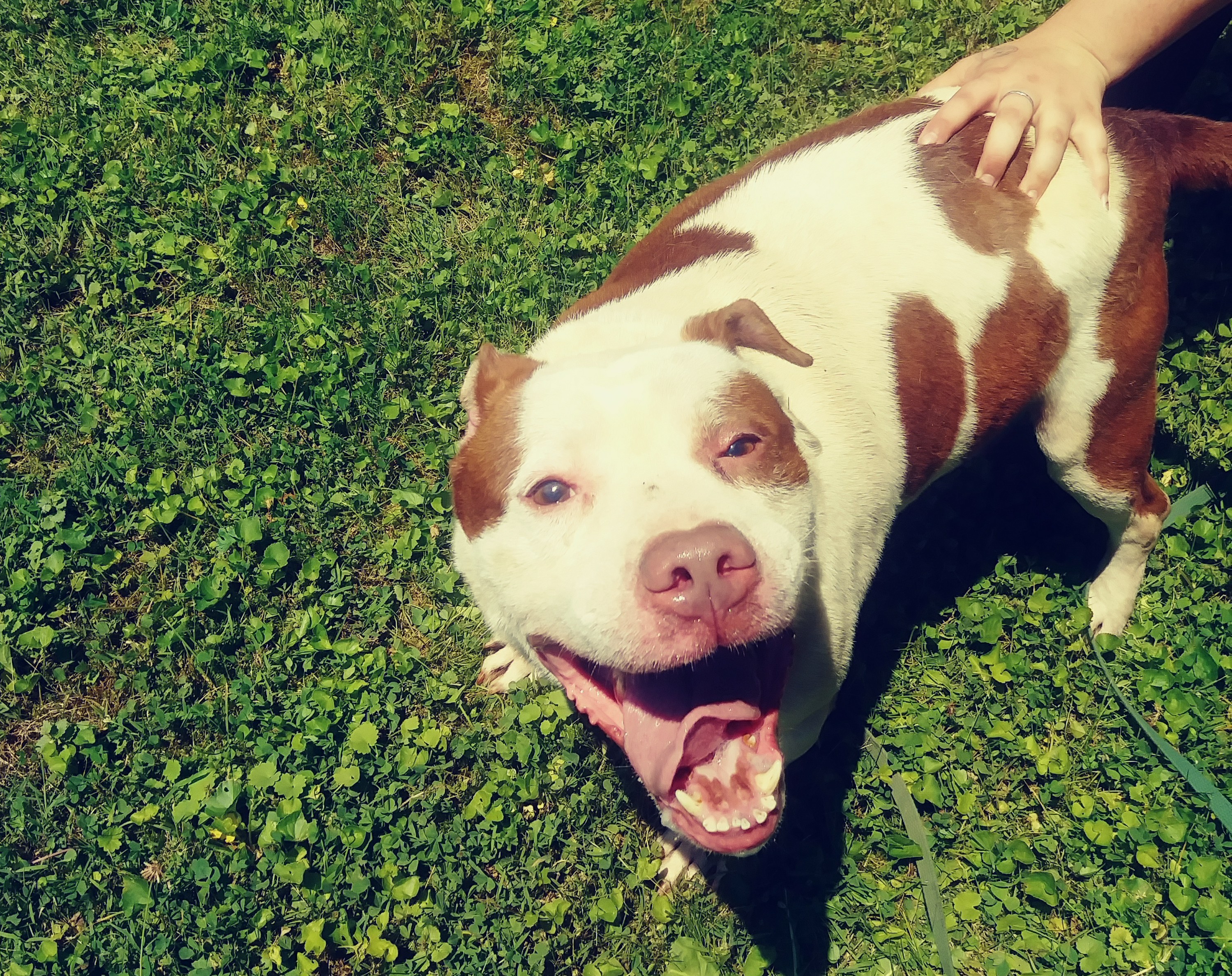 Riley photo 3
