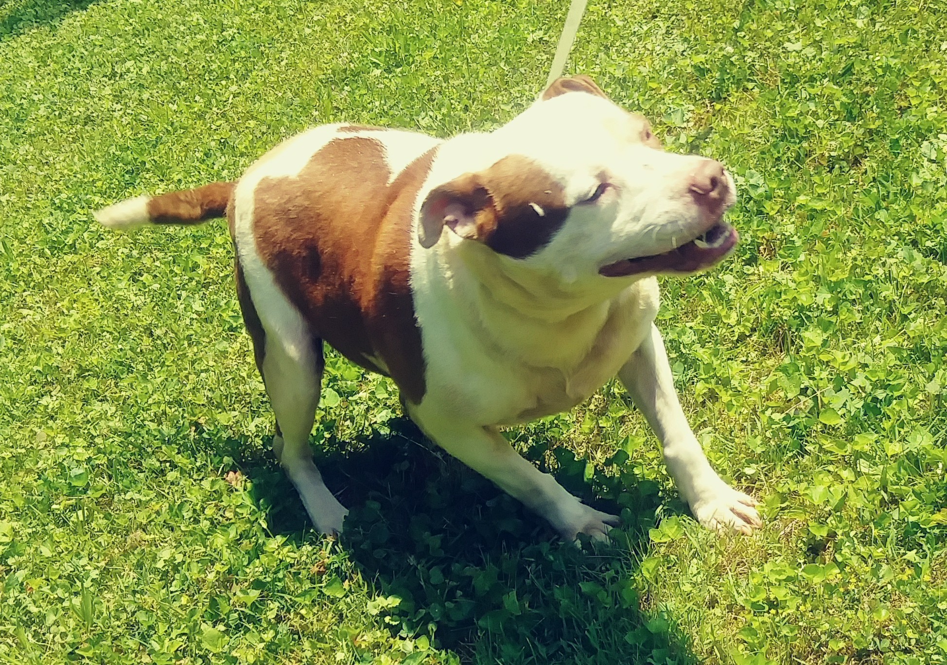 Riley photo 1