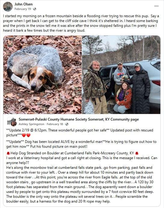 Enlarge Luna, an adopted mixed breed in North Bay, ON image 6/6