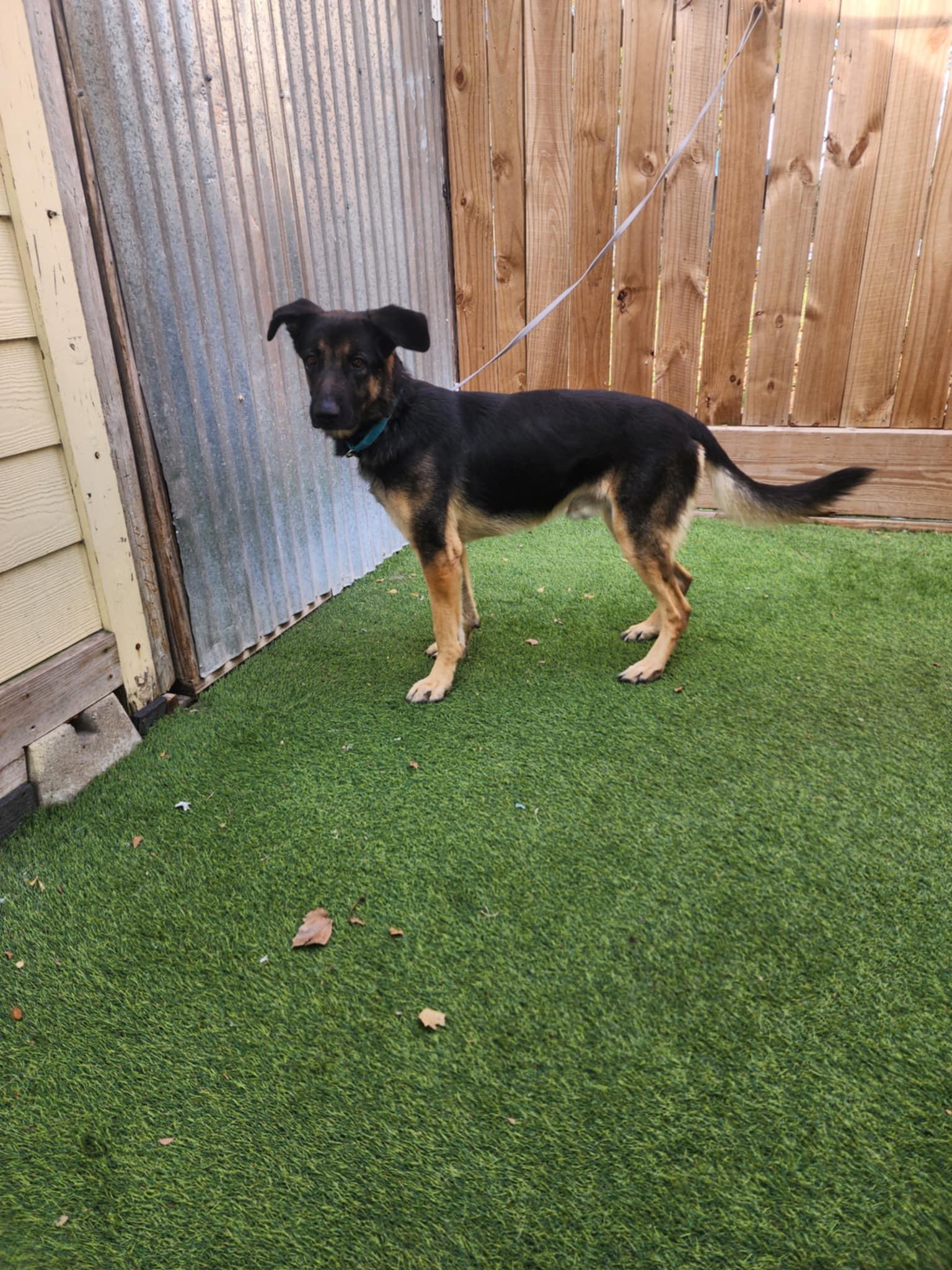 Johnny — thumbnail 4