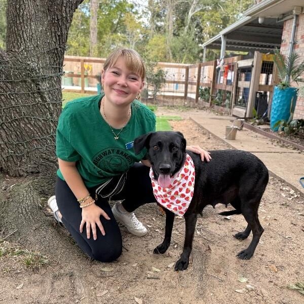 Lady Loves Belly Rubs — thumbnail 4