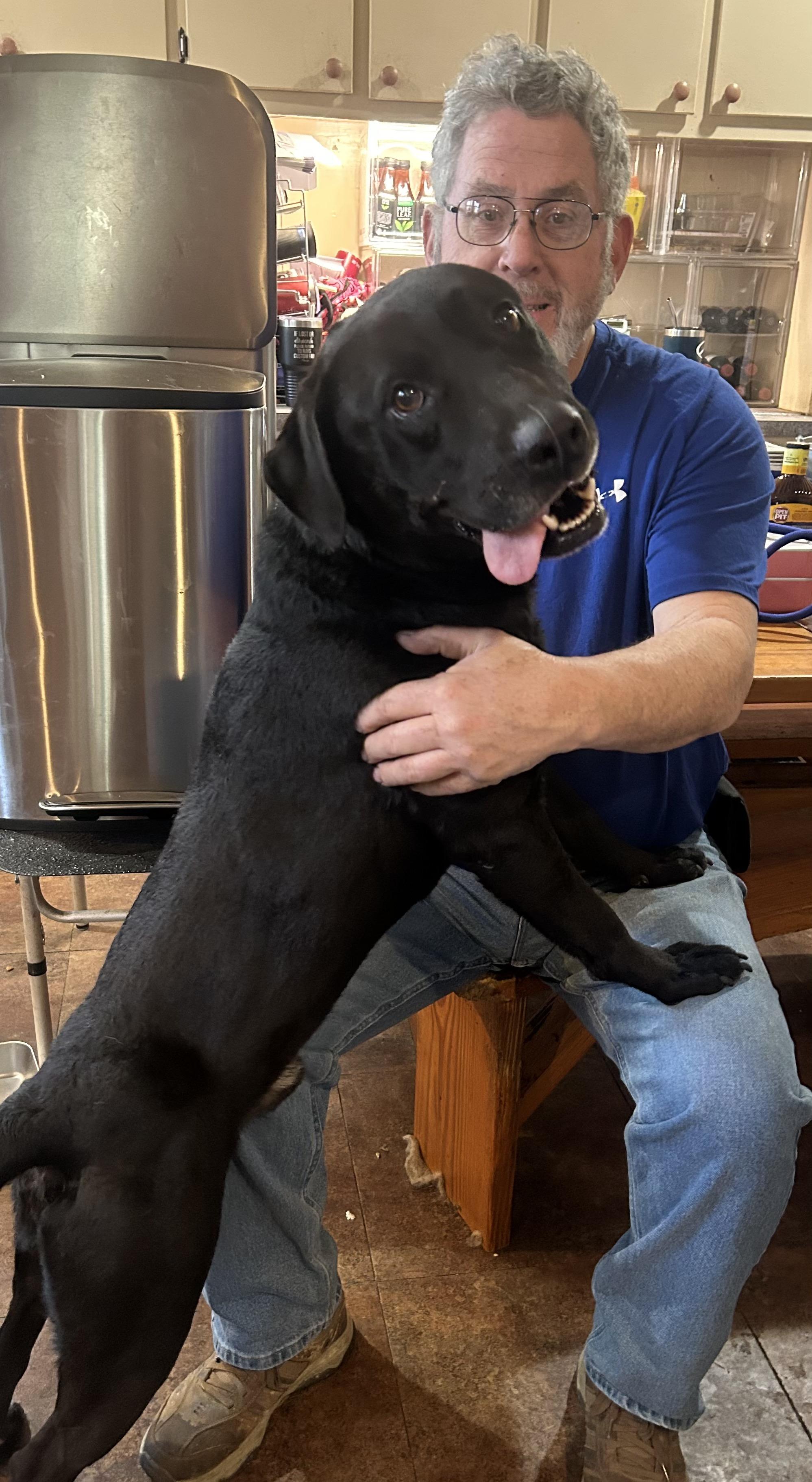 Enlarge Koa, a ADOPTABLE mixed breed in Warrington, PA image 3/6