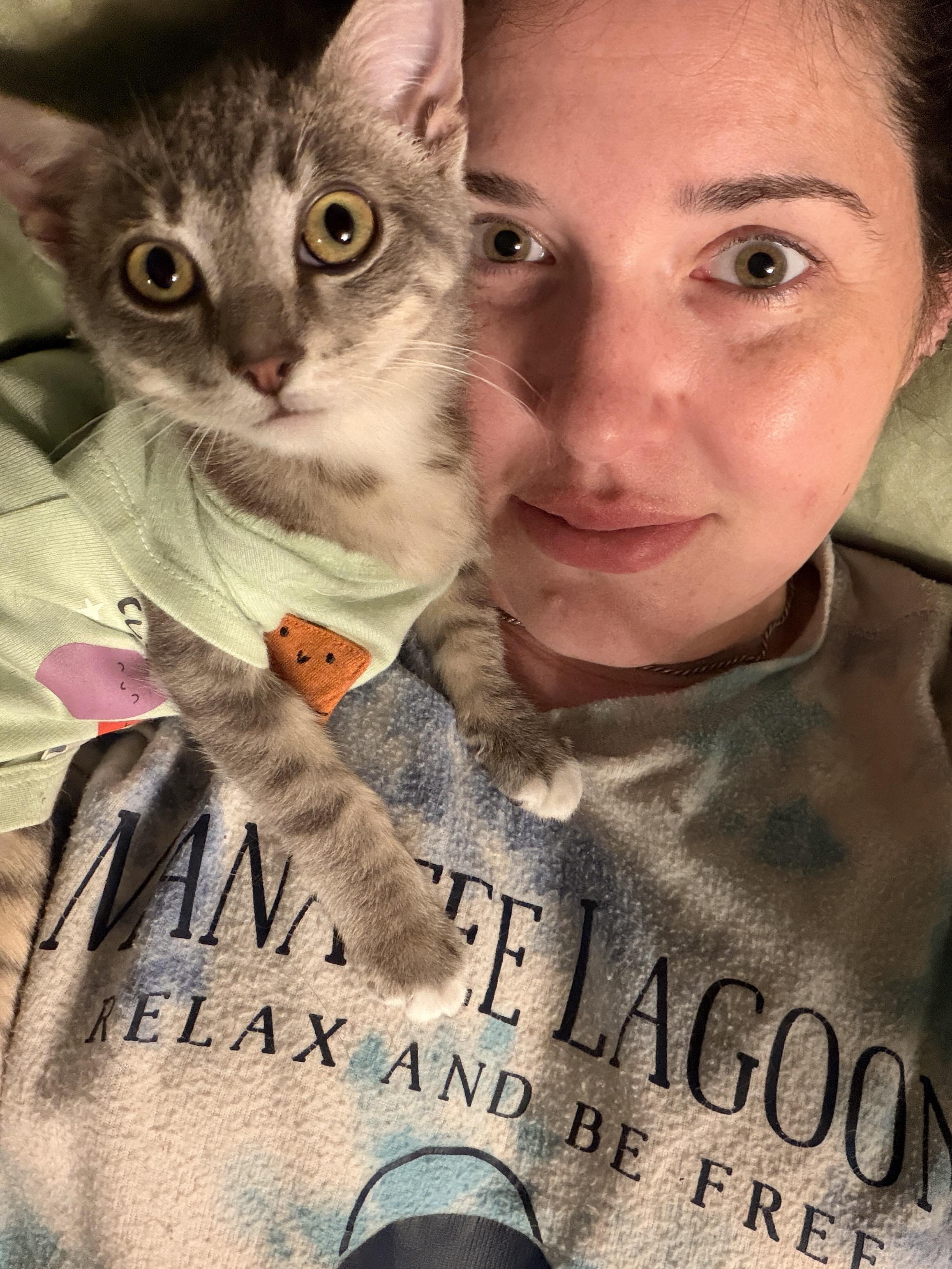 Enlarge Hubble, a Adoptable Domestic Short Hair in Suffolk, VA image 5/5