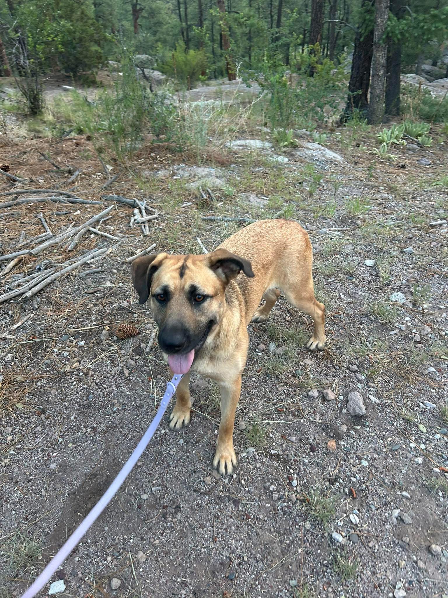 Thelma