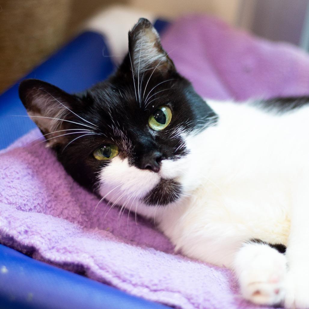 Michelle — thumbnail 2