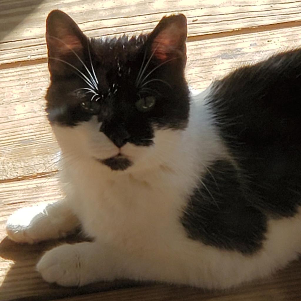 Michelle — thumbnail 3