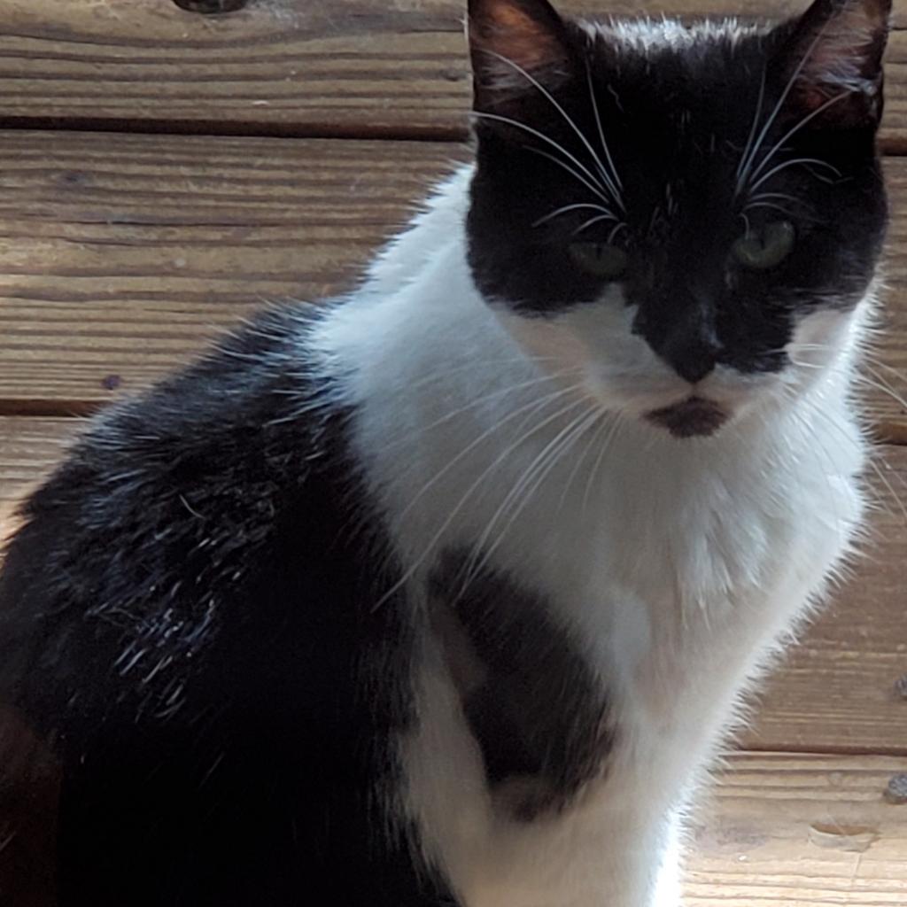 Michelle — thumbnail 4