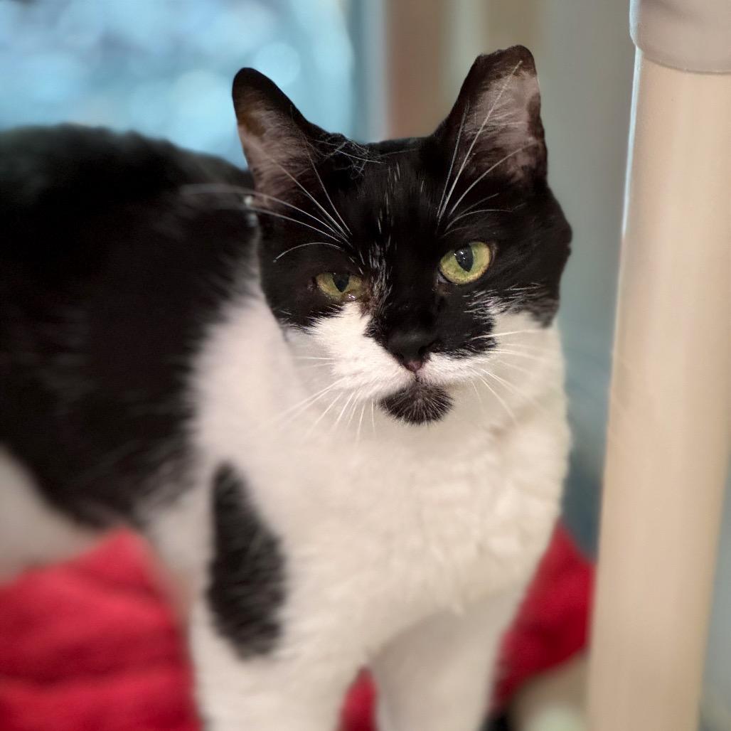 Michelle — thumbnail 5