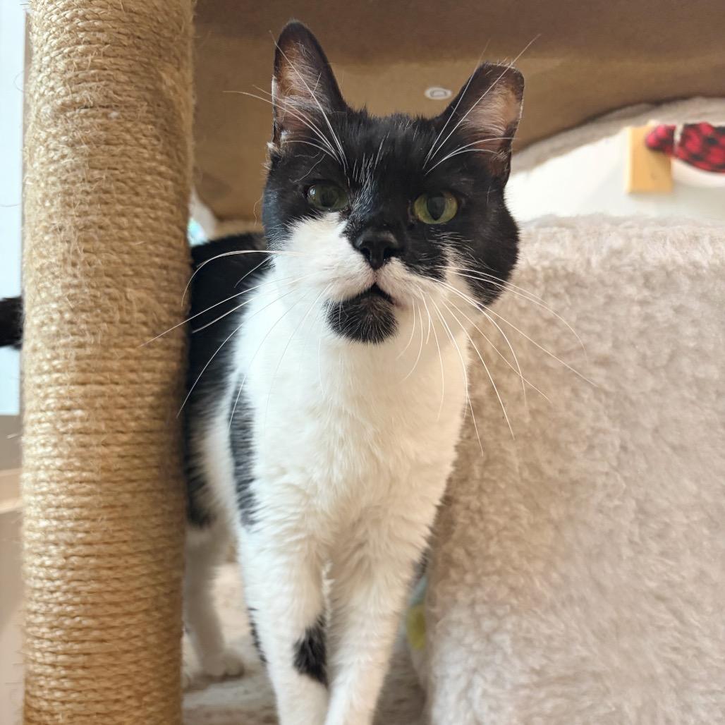 Michelle — thumbnail 6